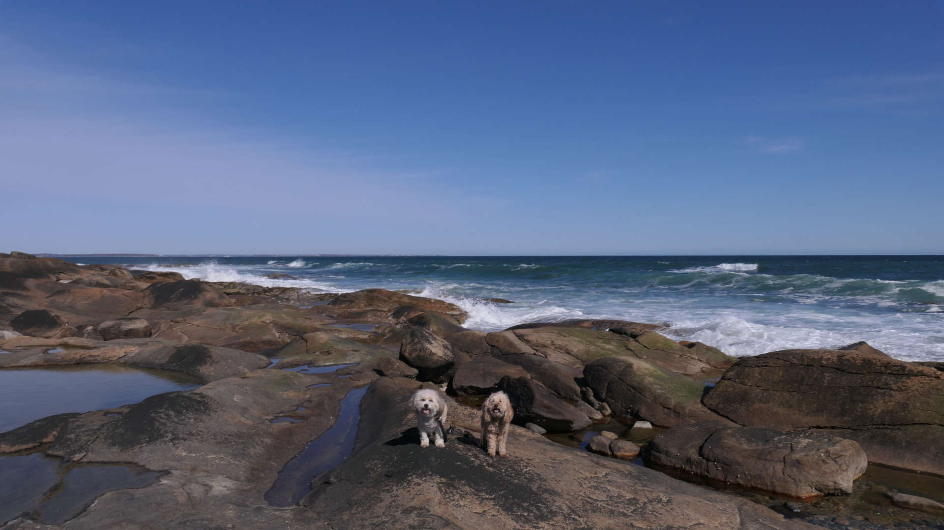 Narragansett516