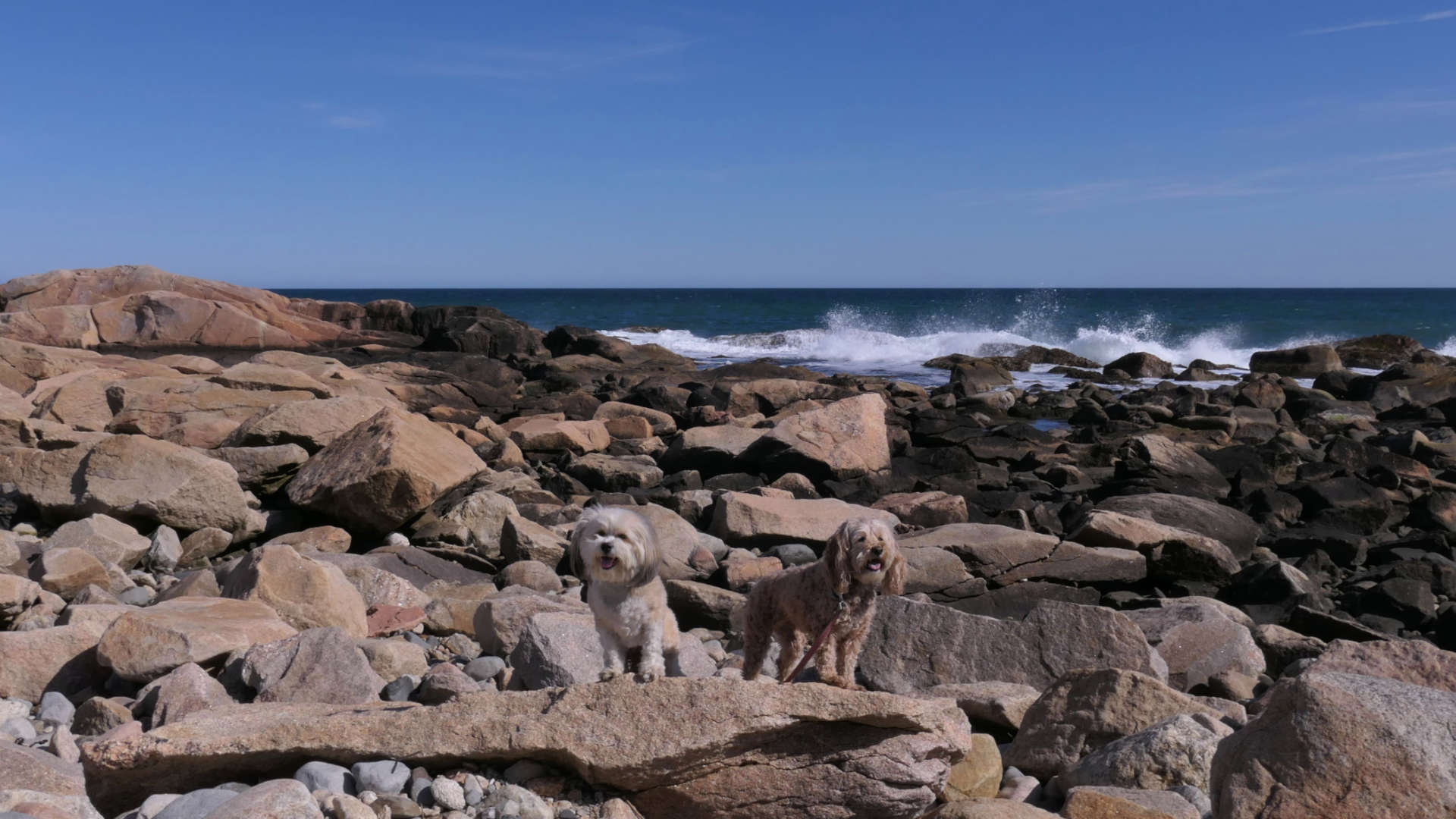 Narragansett519