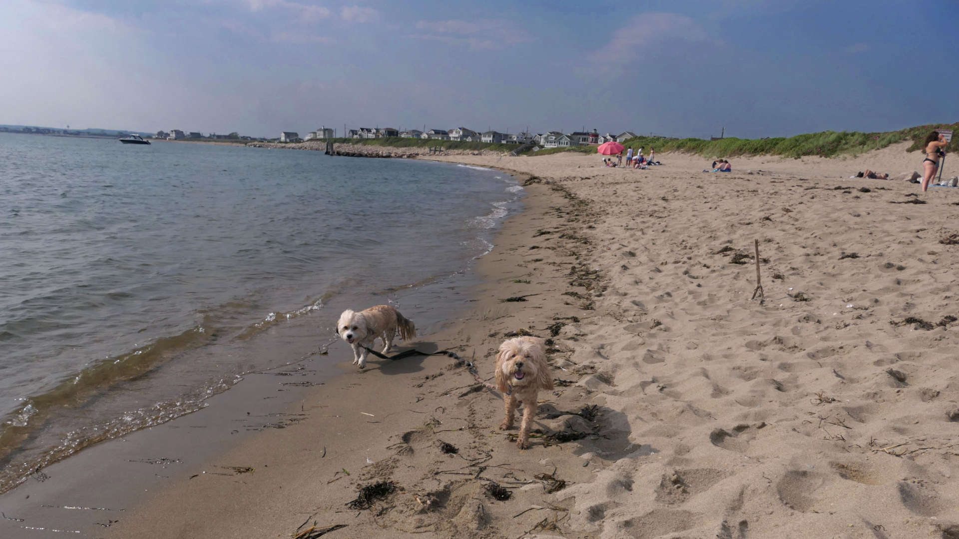 Narragansett578