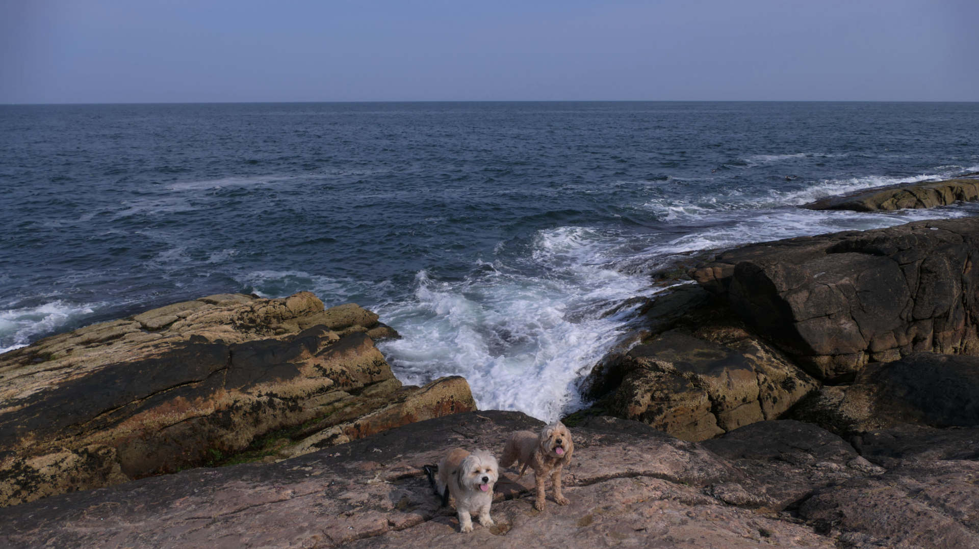 Narragansett598