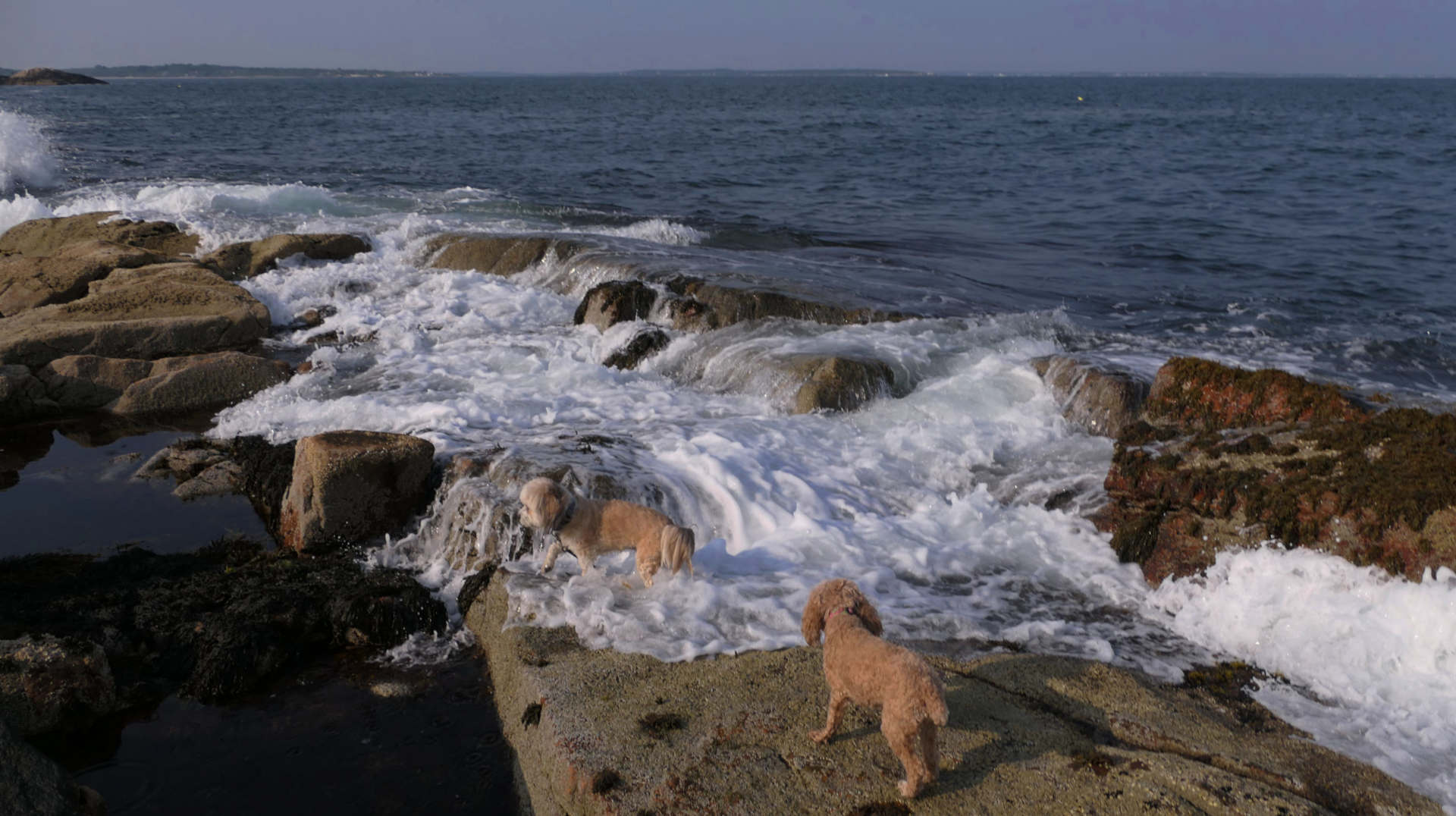 Narragansett612