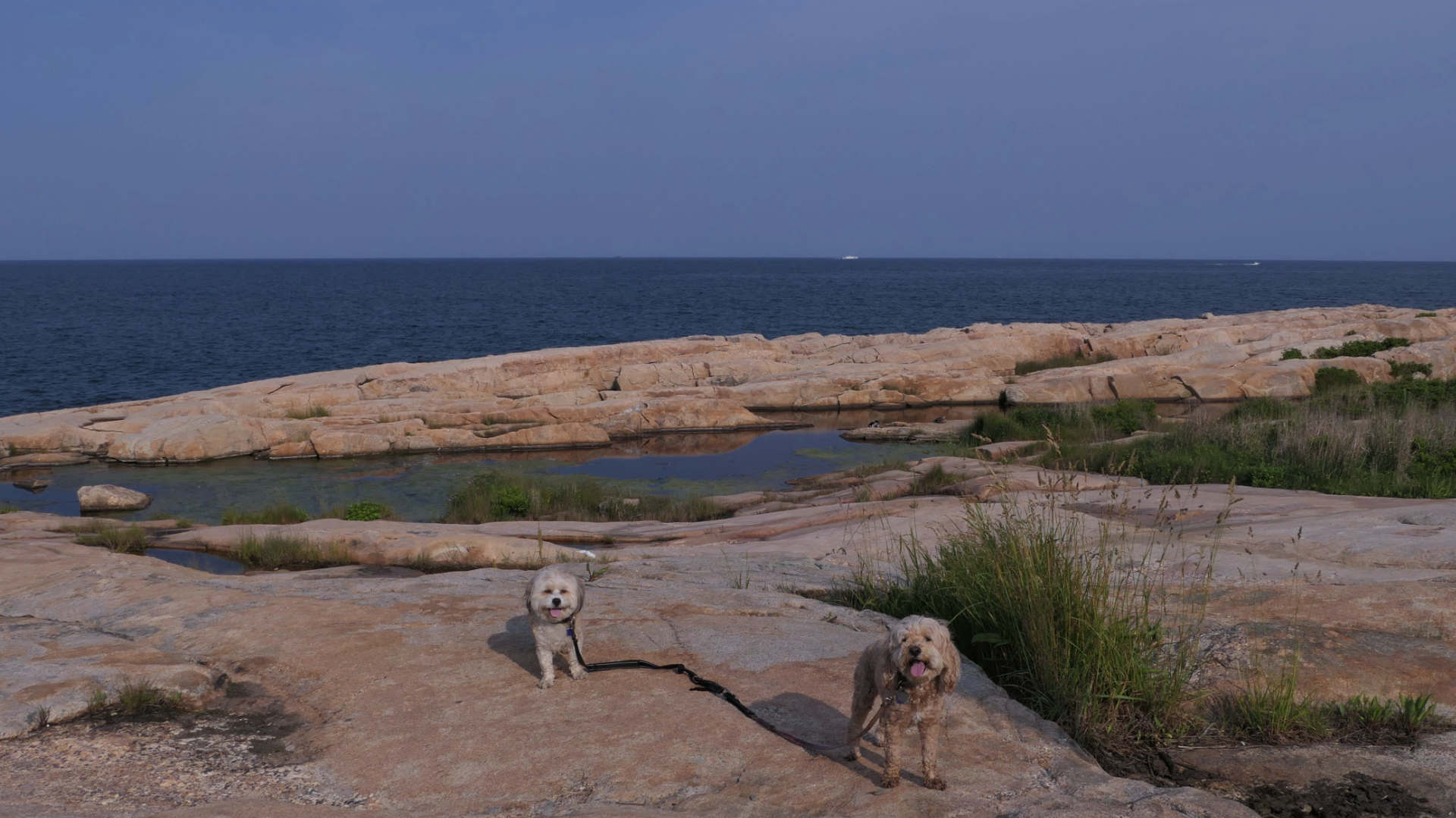 Narragansett613