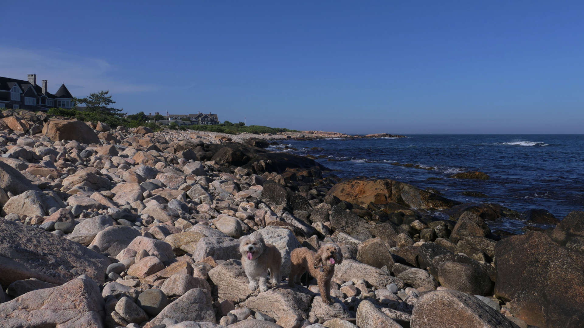 Narragansett625