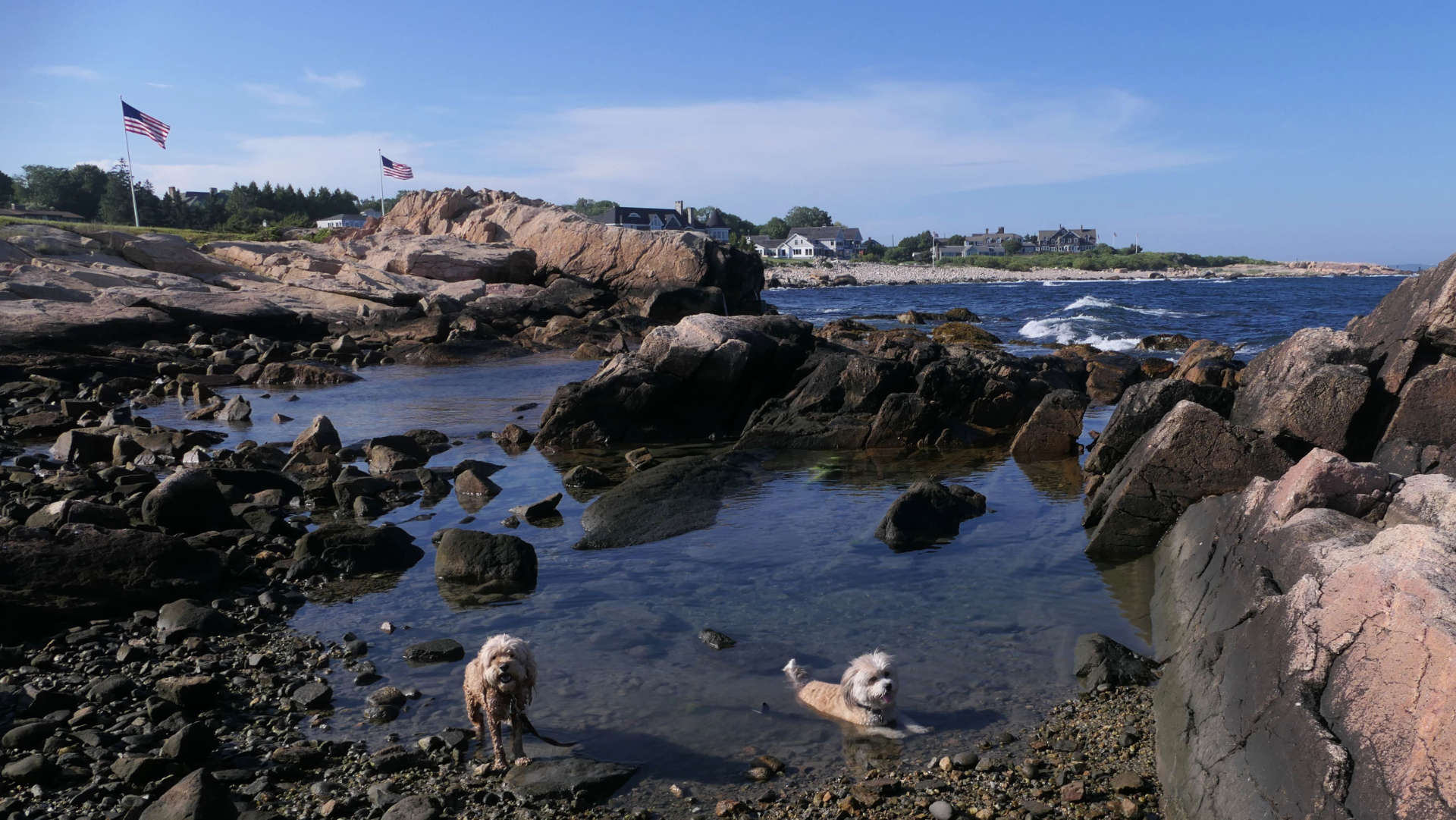 Narragansett626