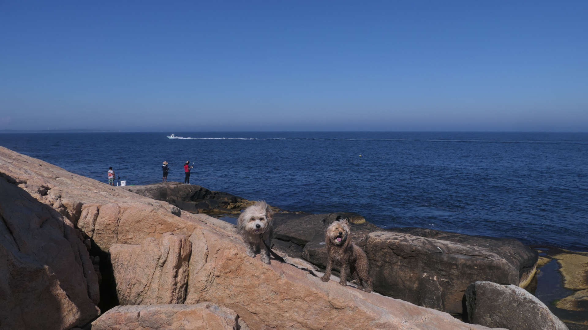Narragansett693