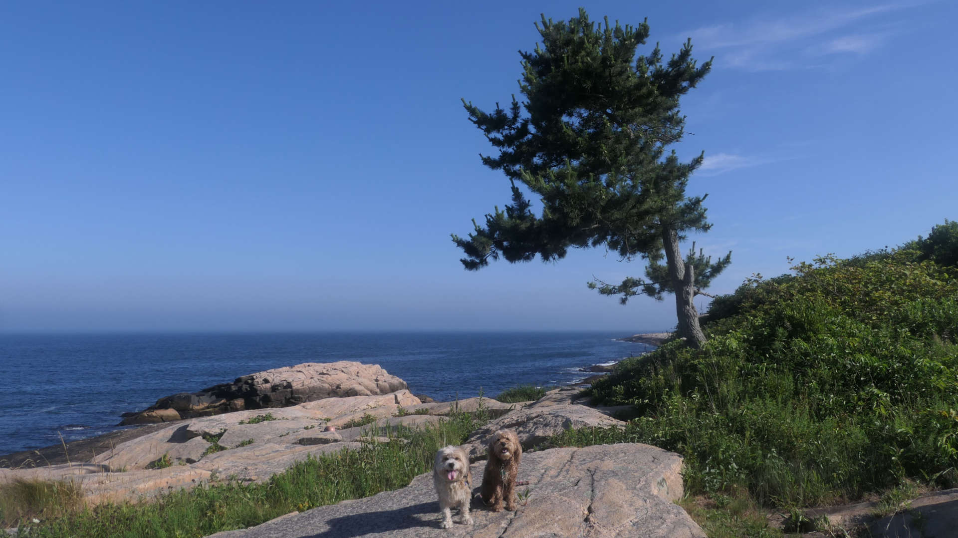 Narragansett703
