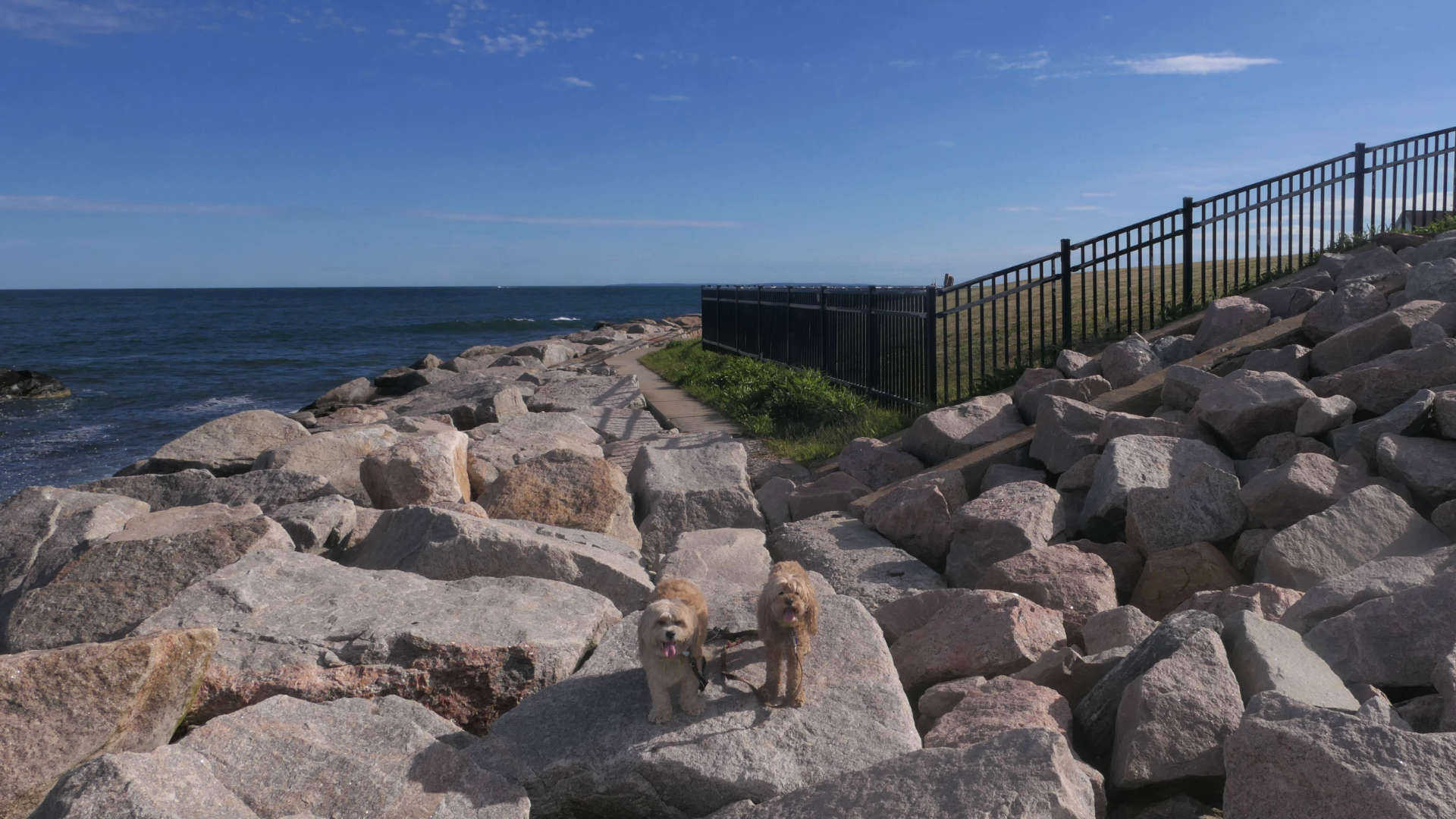 Narragansett715