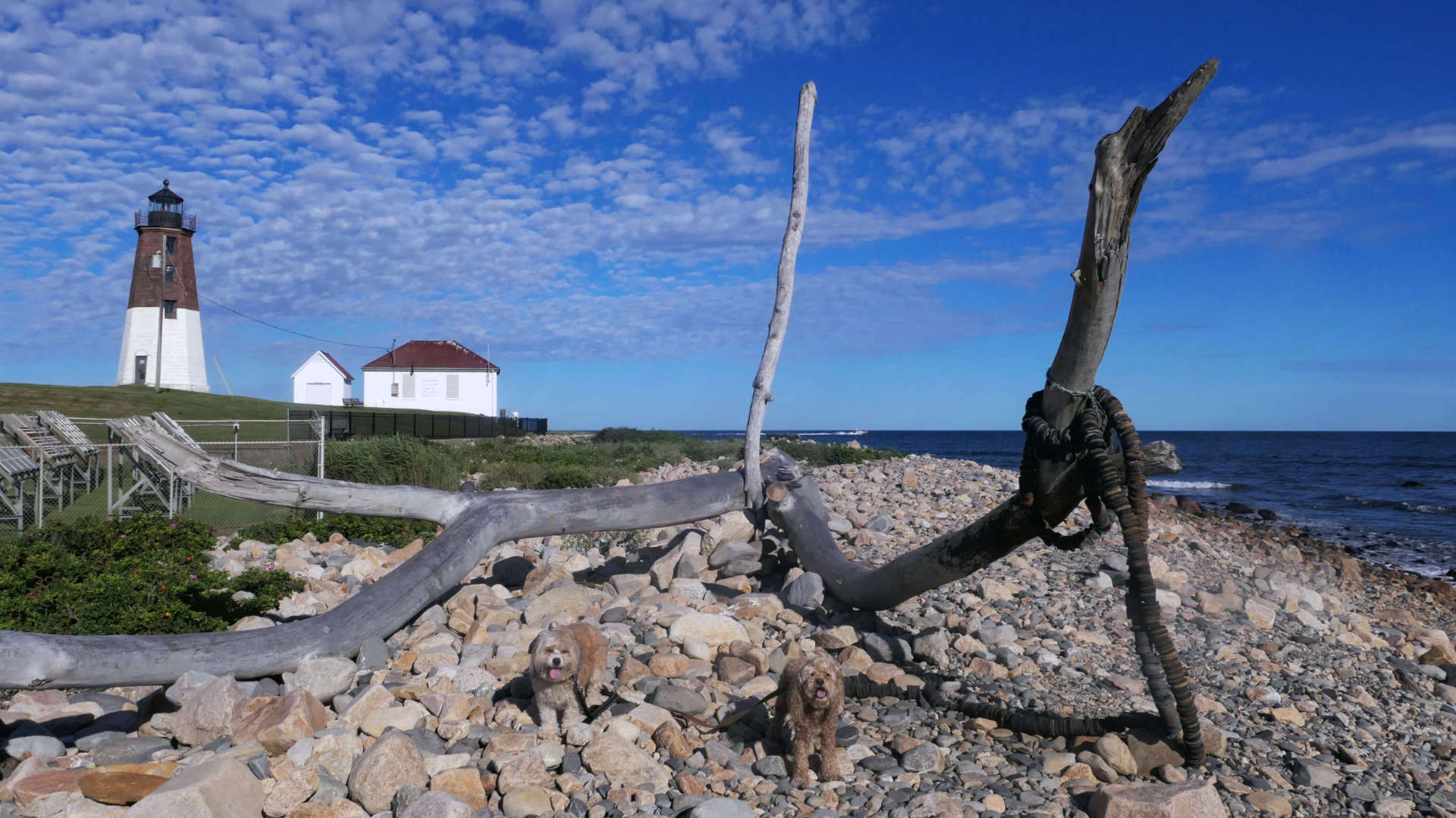 Narragansett720