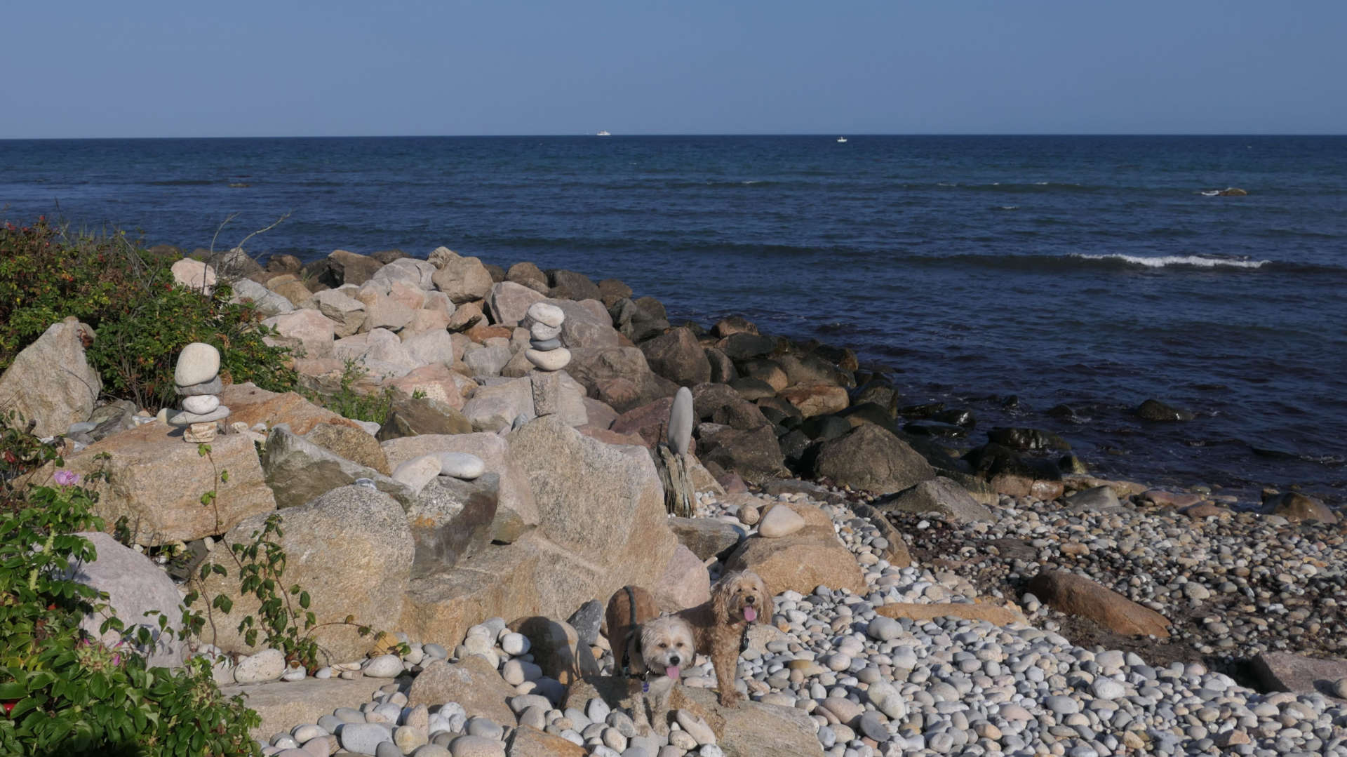 Narragansett732