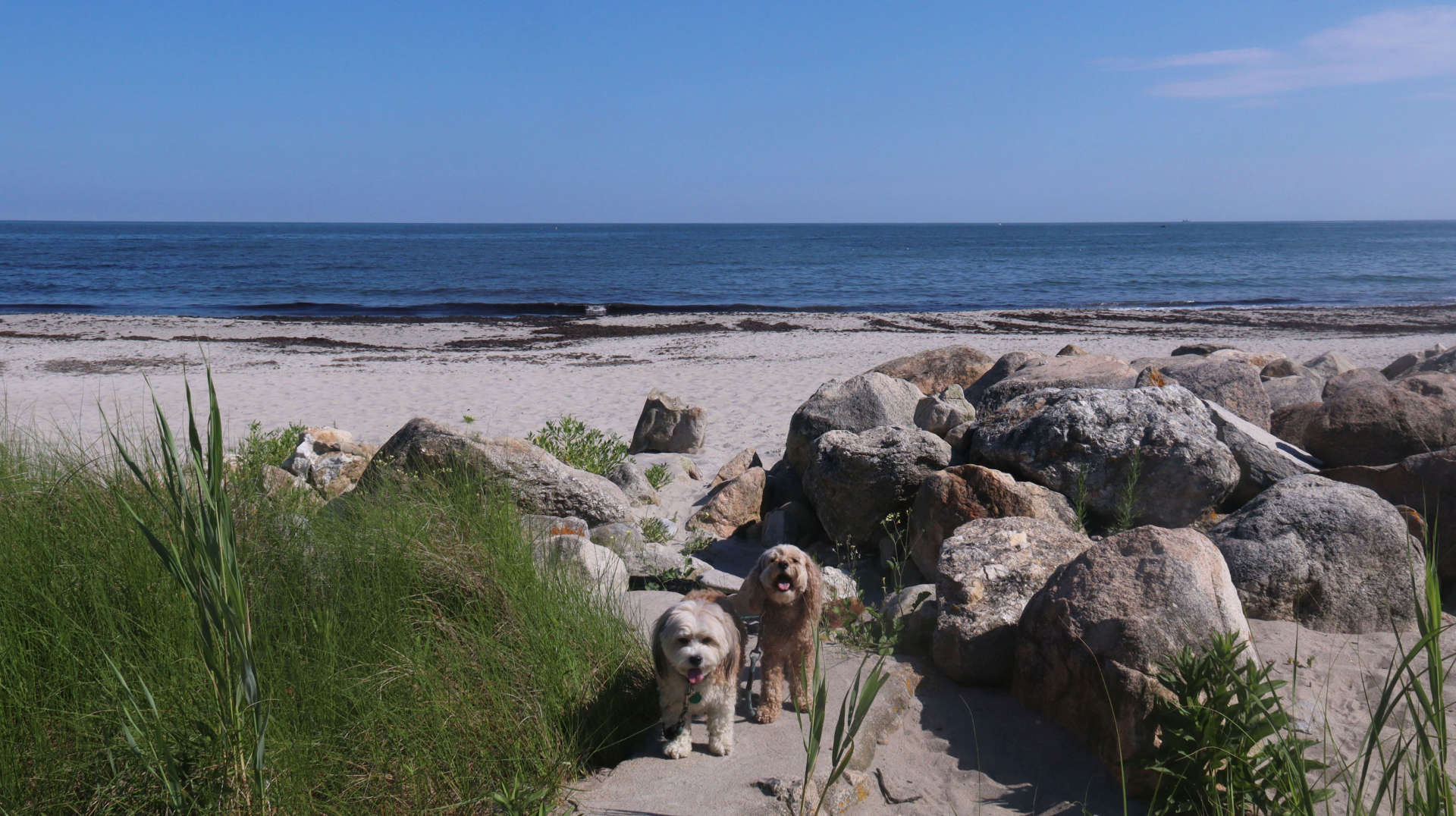 Narragansett899