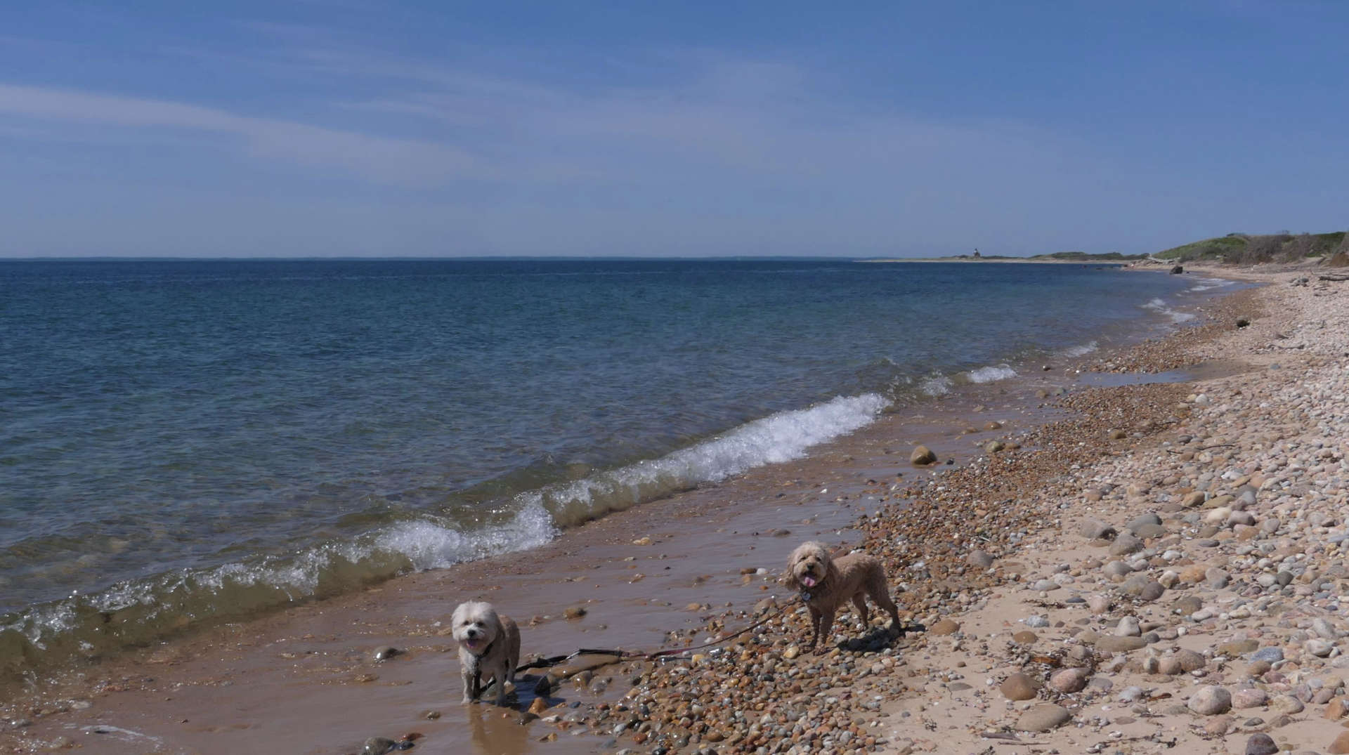 New_Shoreham114