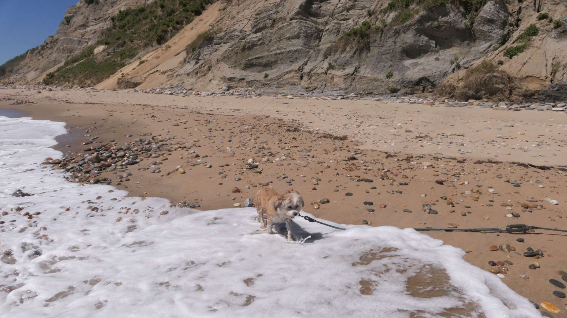 New_Shoreham135