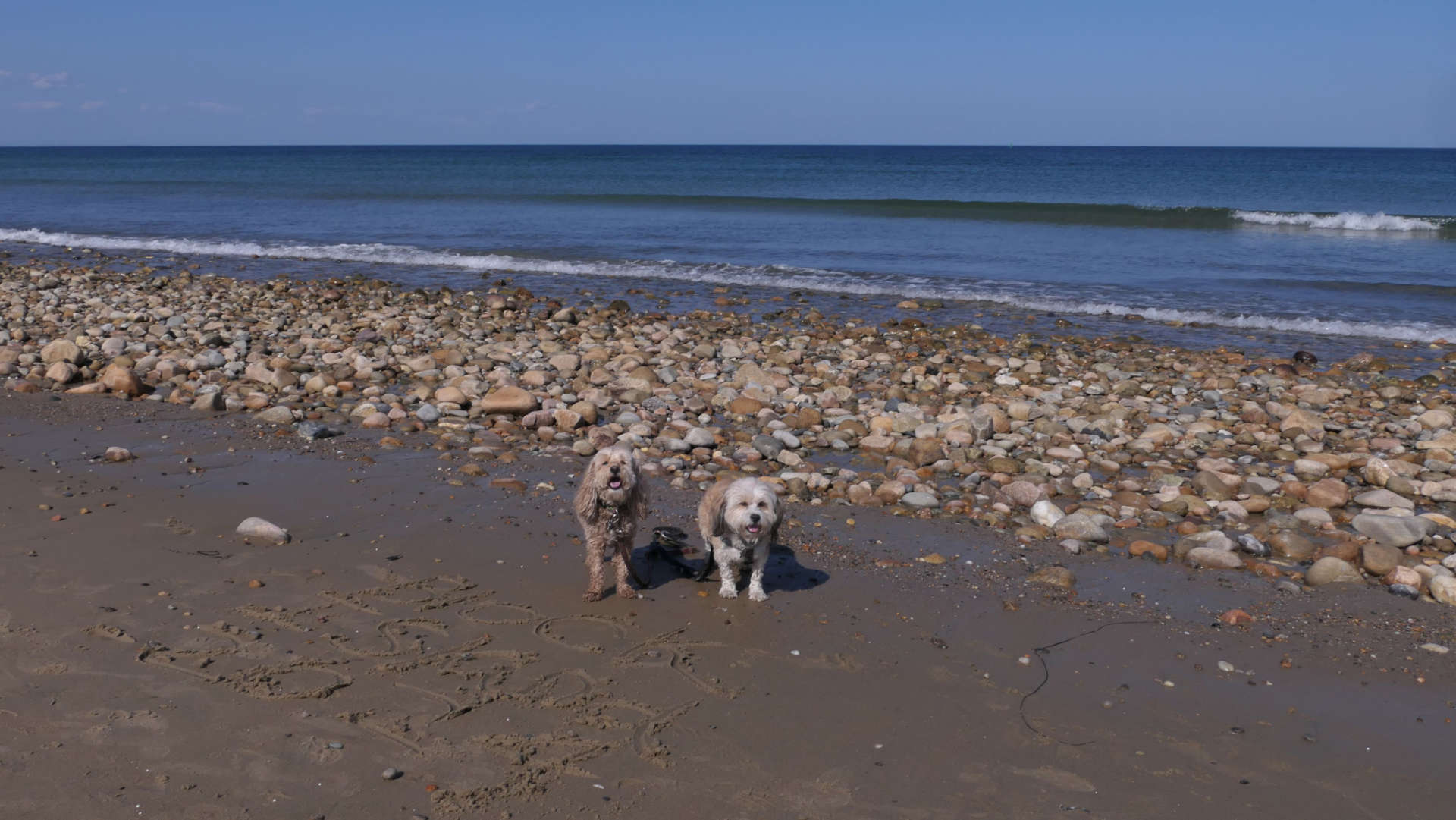 New_Shoreham61