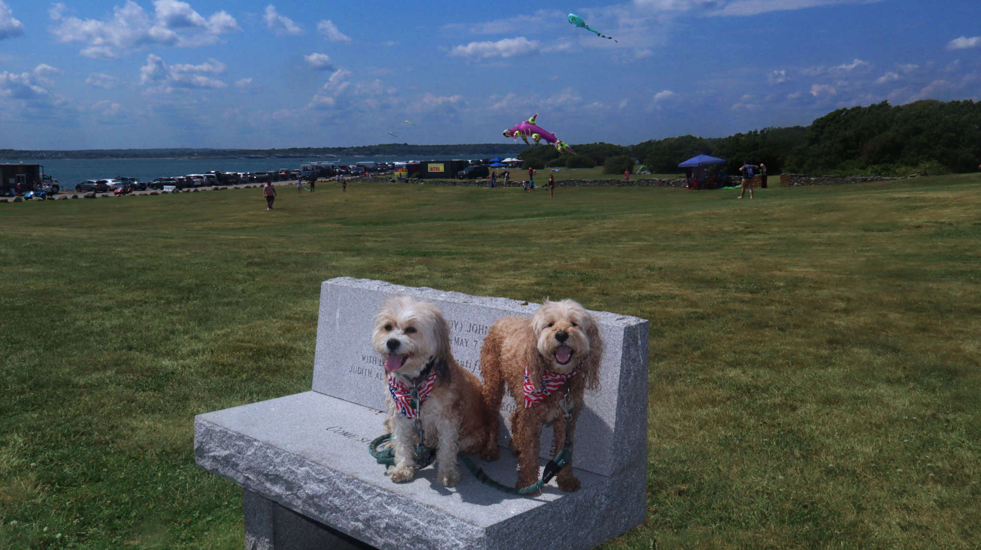 Newport578