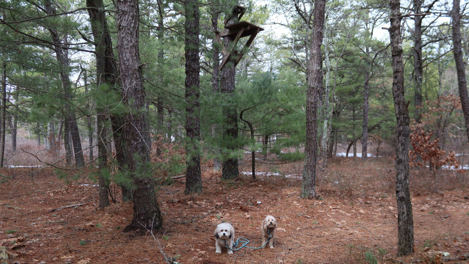 North_Attleborough25