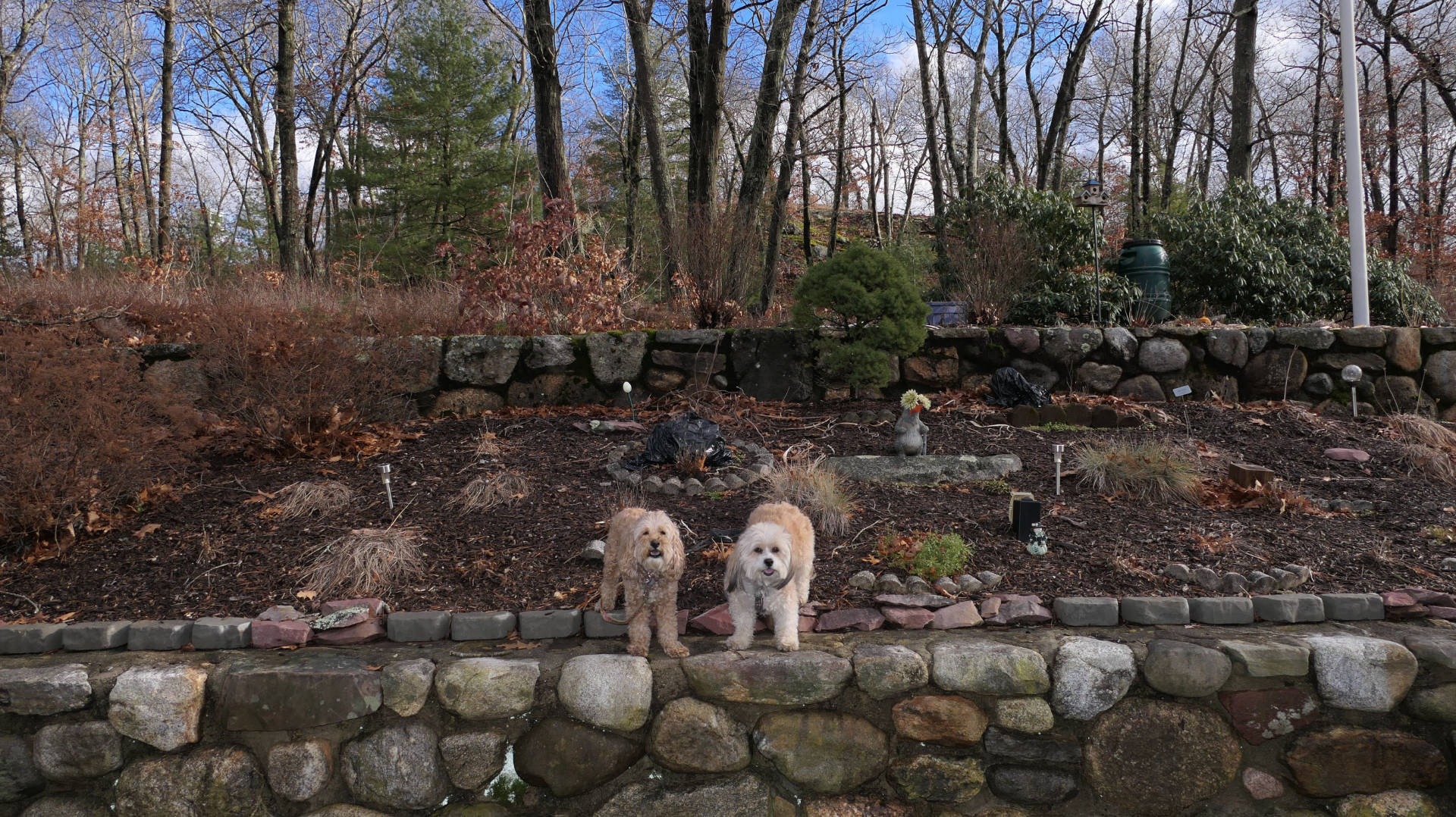 North_Attleborough3