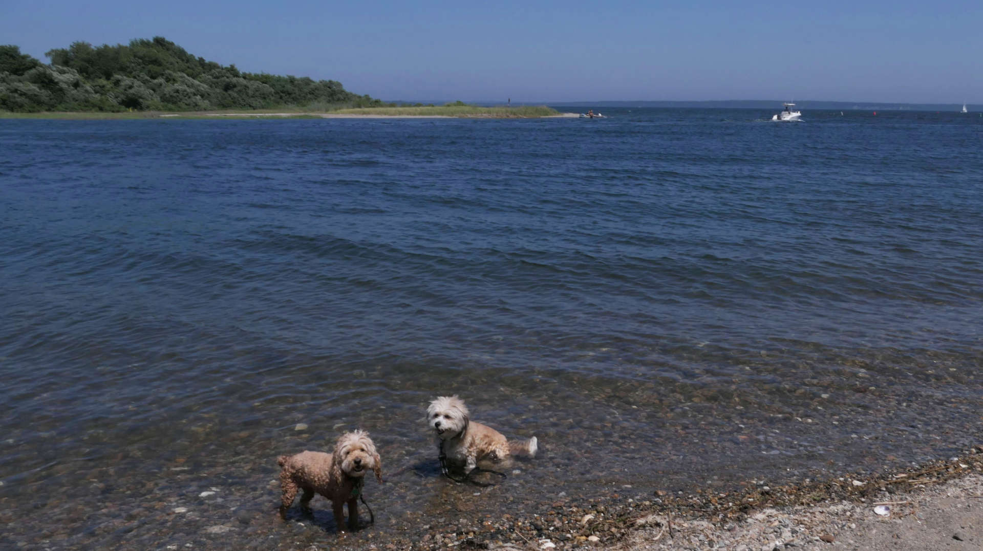 North_Kingstown203
