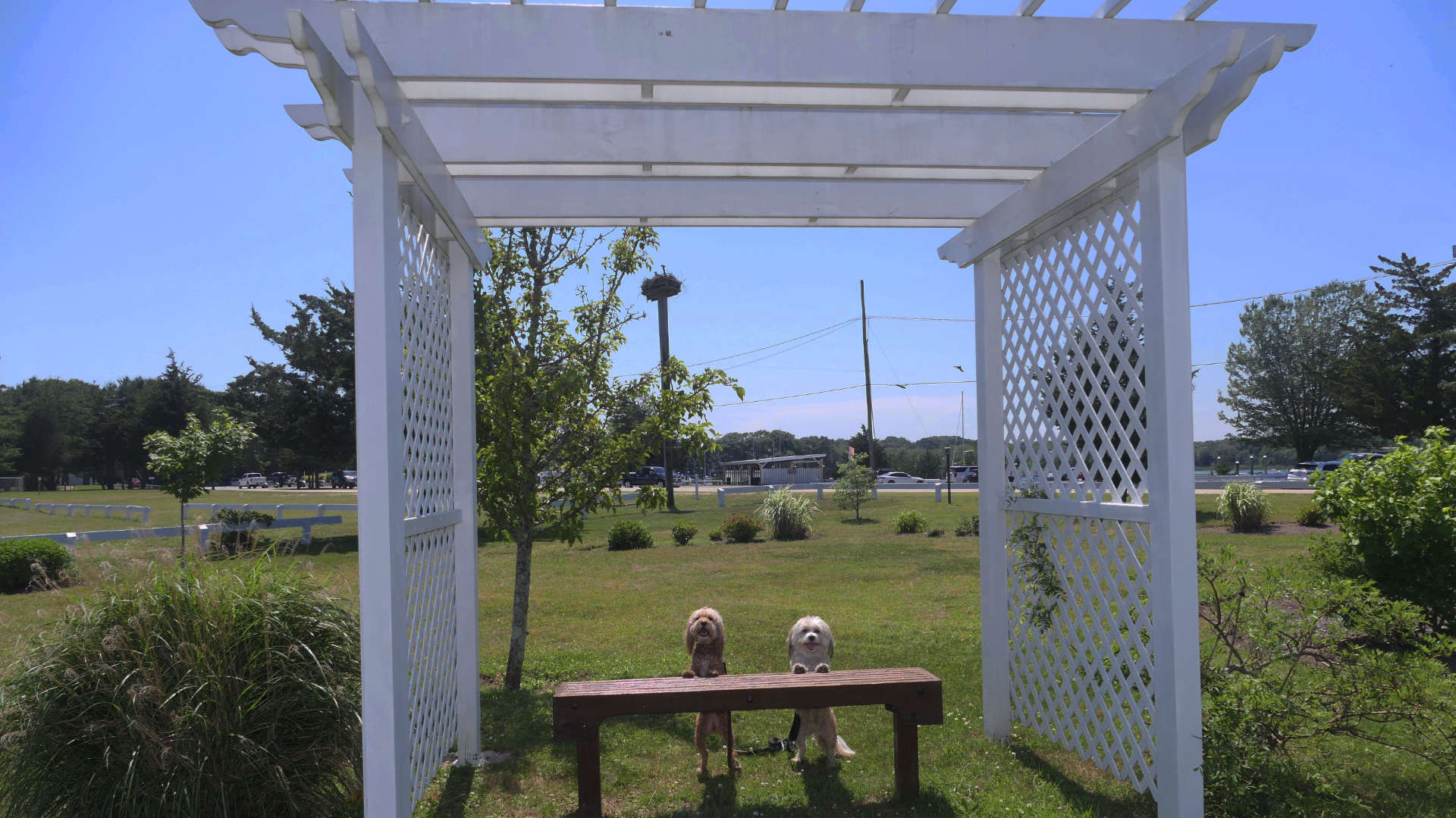 North_Kingstown209