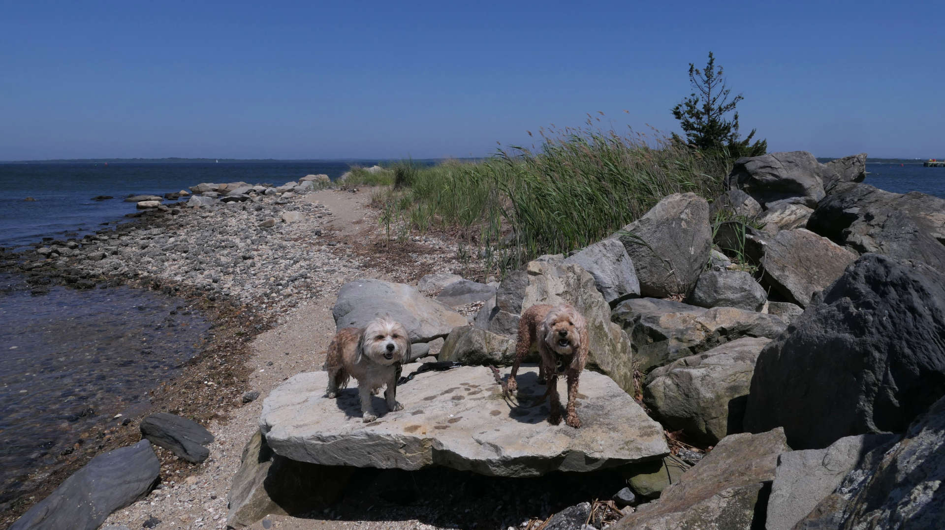 North_Kingstown220