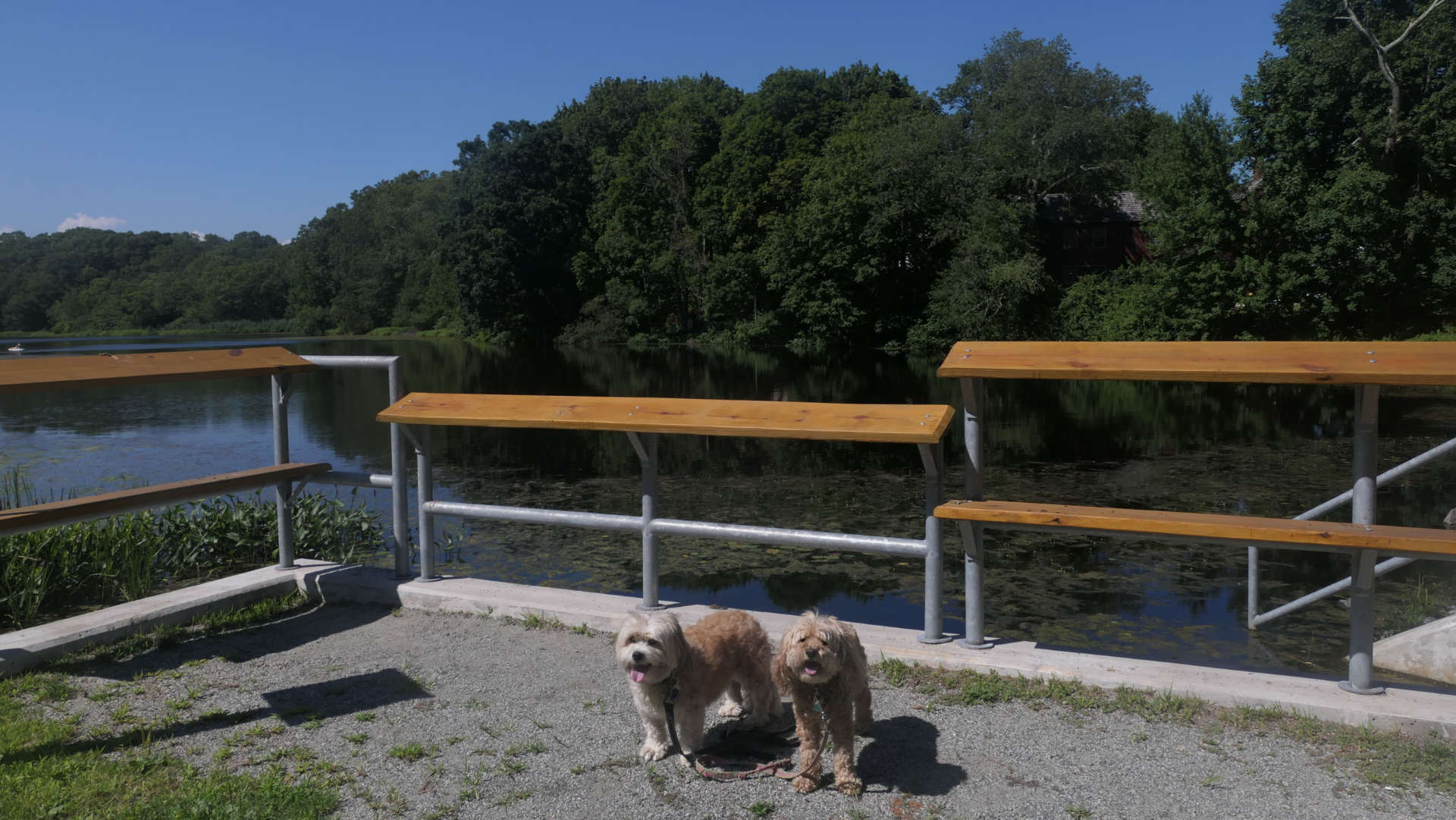 North_Kingstown234
