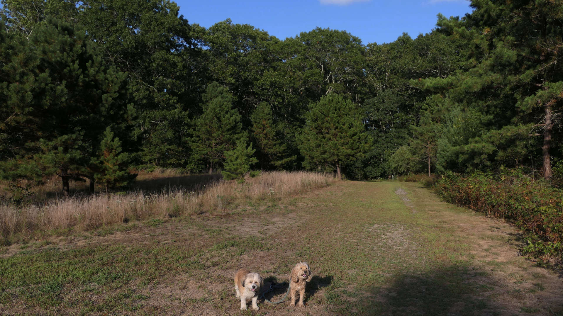 North_Kingstown246