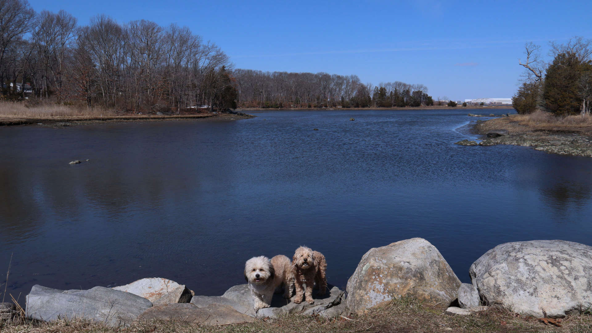 North_Kingstown291
