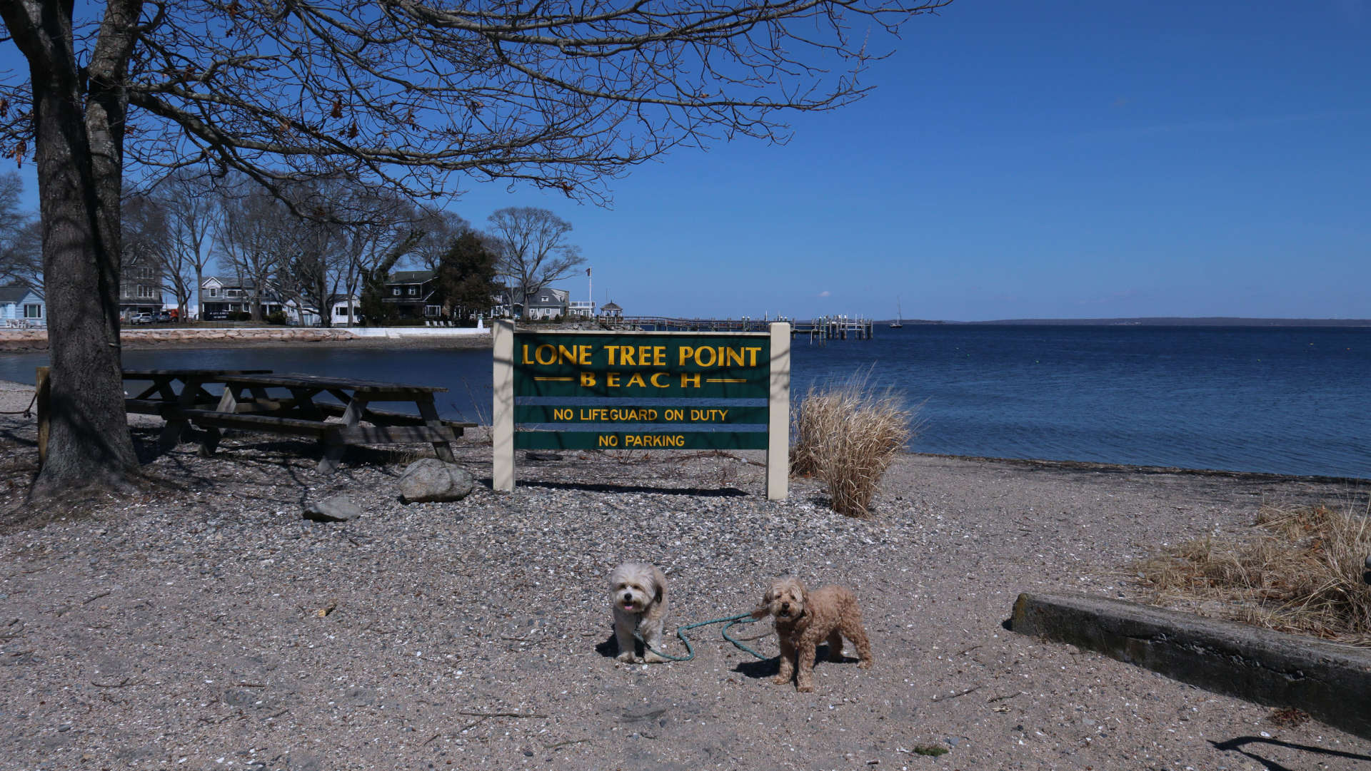 North_Kingstown292