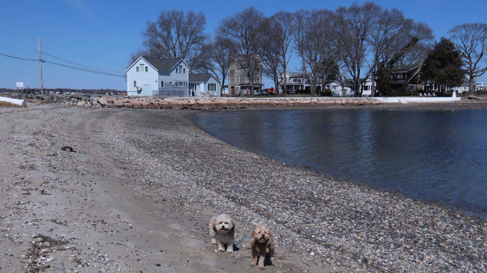 North_Kingstown295