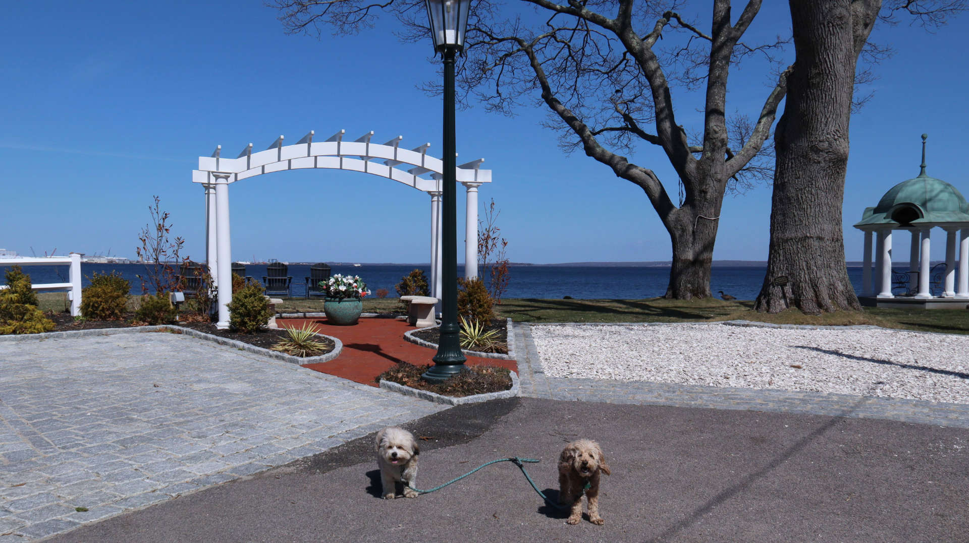 North_Kingstown299