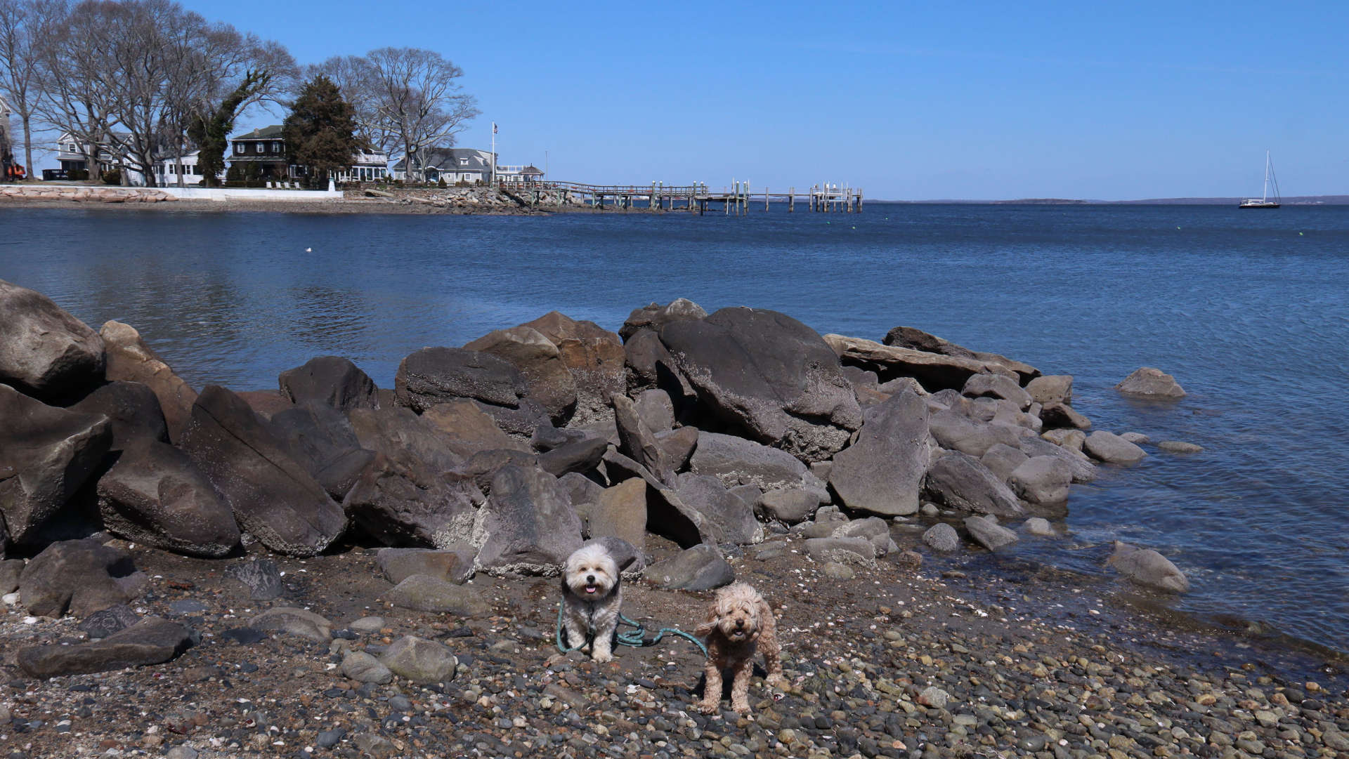 North_Kingstown303