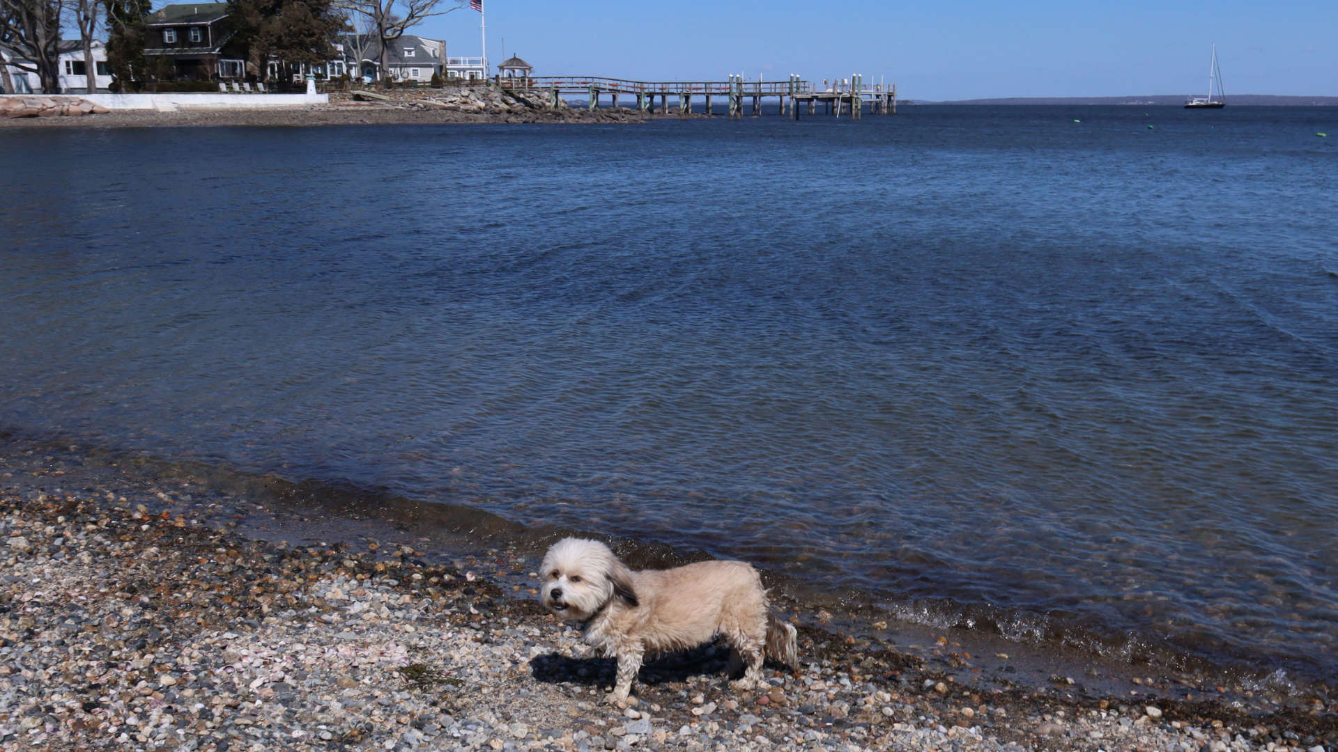 North_Kingstown305