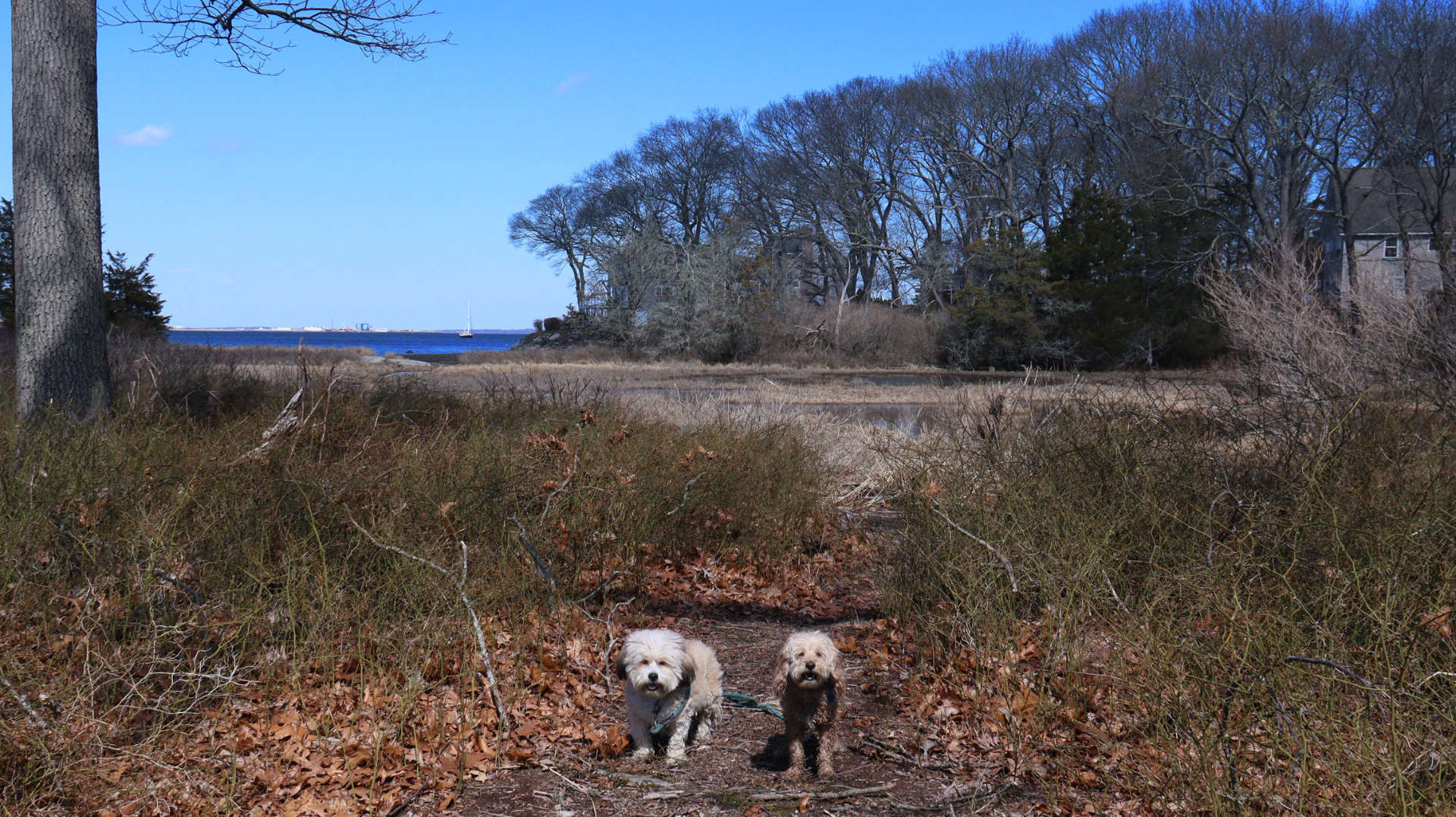 North_Kingstown306