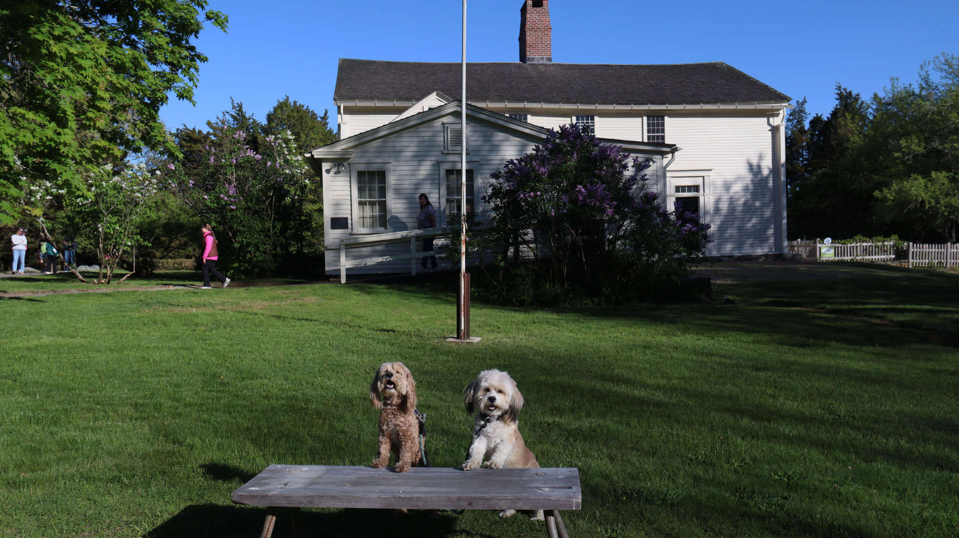 North_Kingstown307