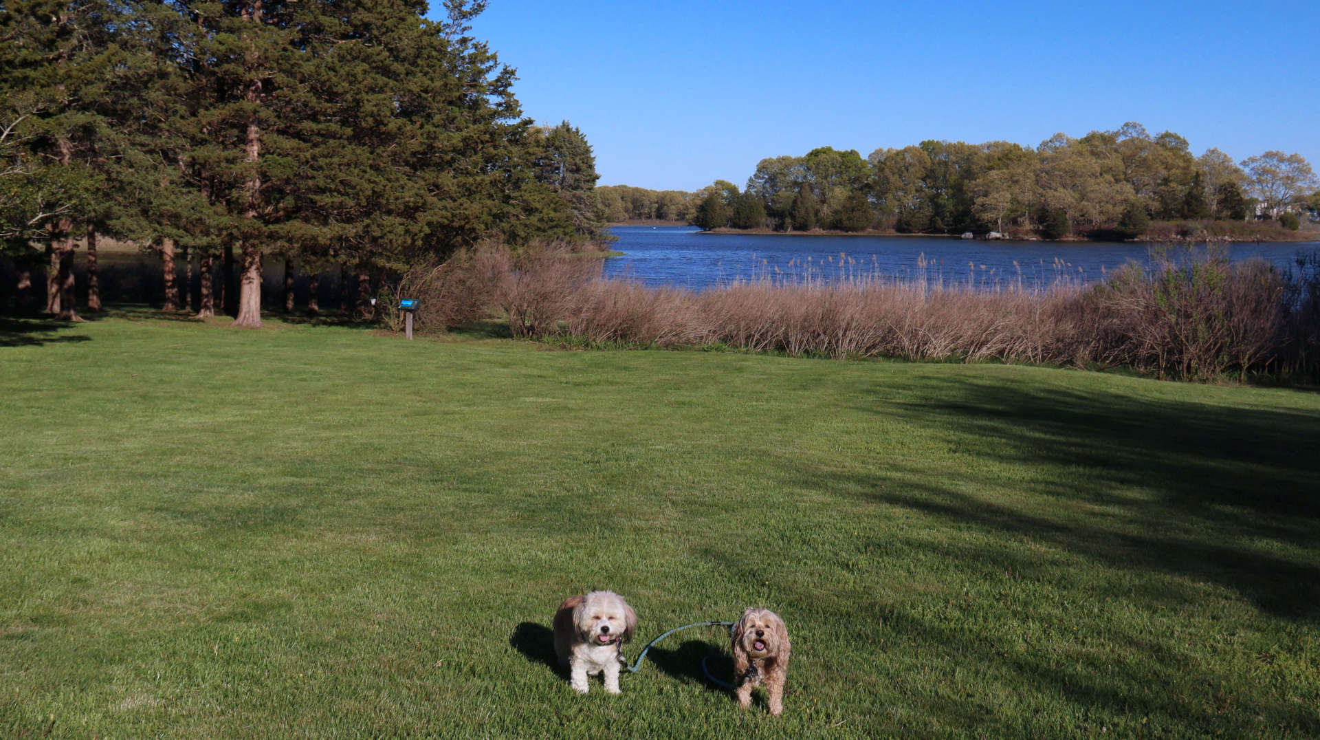 North_Kingstown312