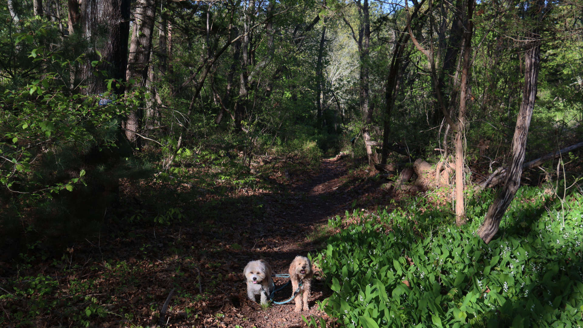North_Kingstown317