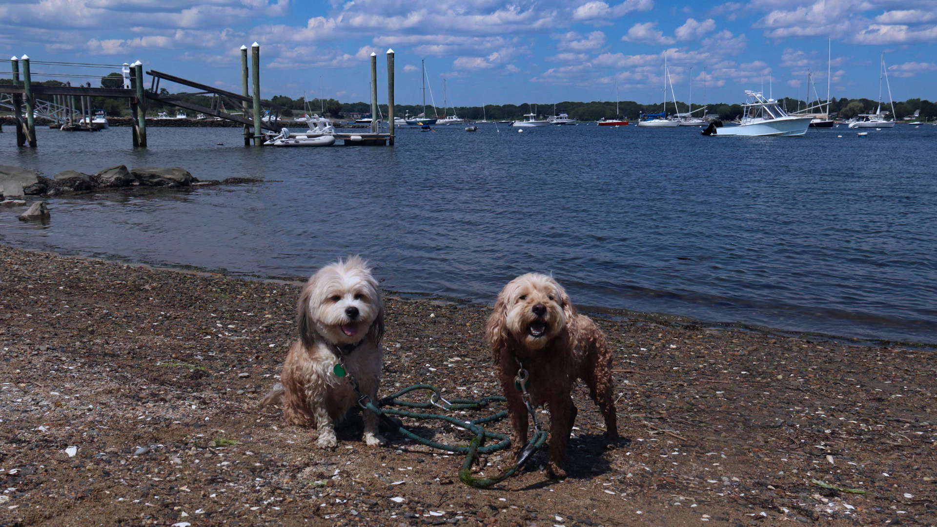 North_Kingstown365