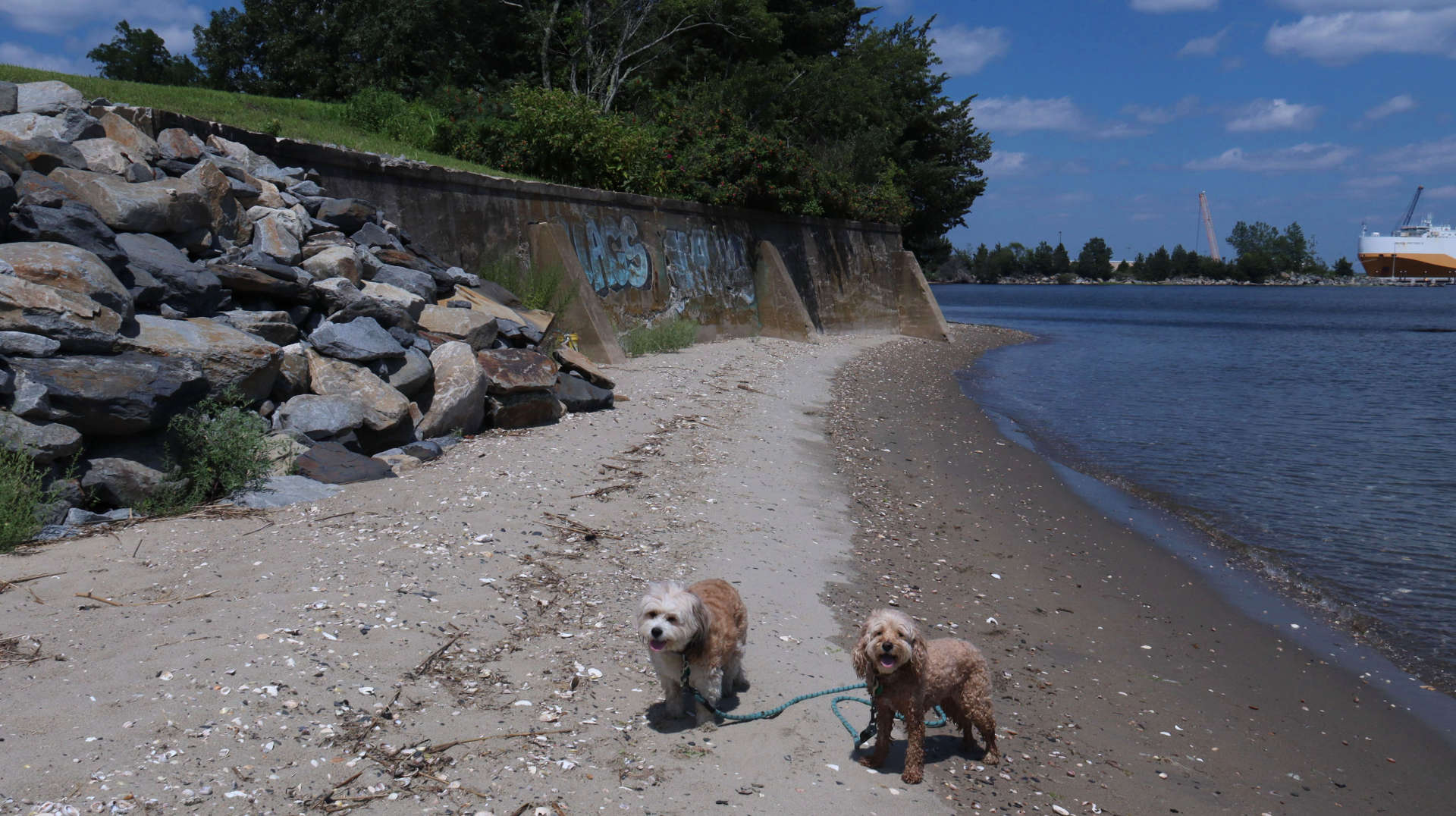 North_Kingstown374