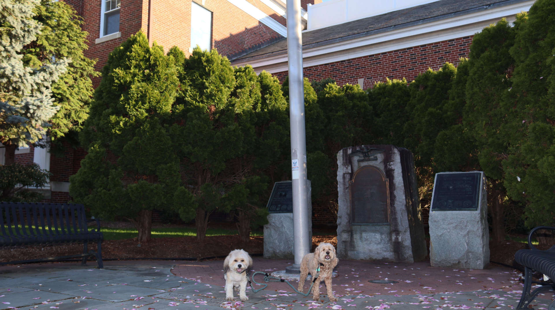 North_Providence41