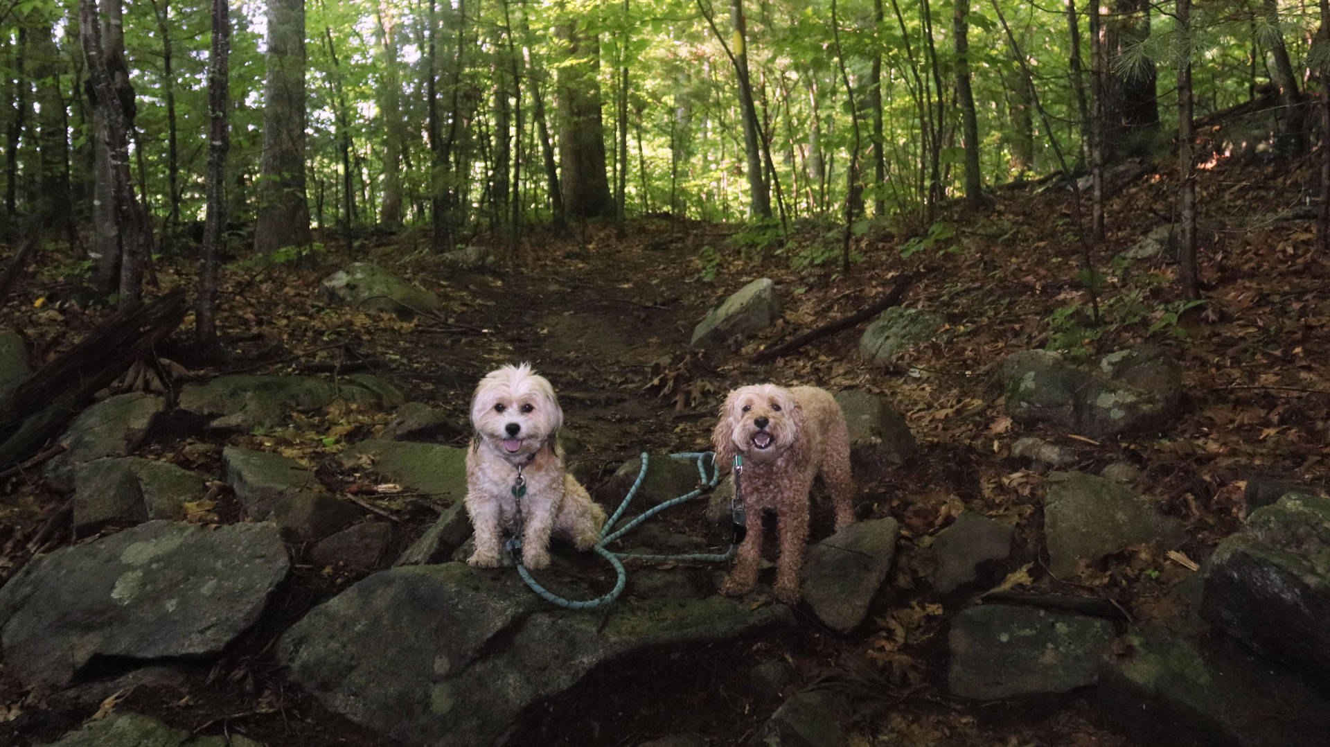 North_Smithfield36