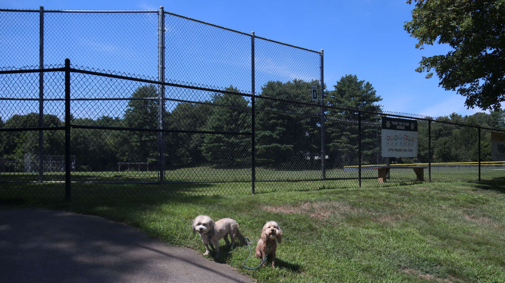 North_Smithfield77