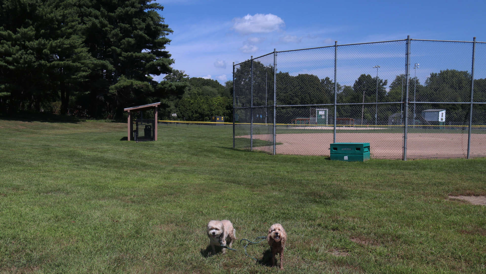 North_Smithfield78
