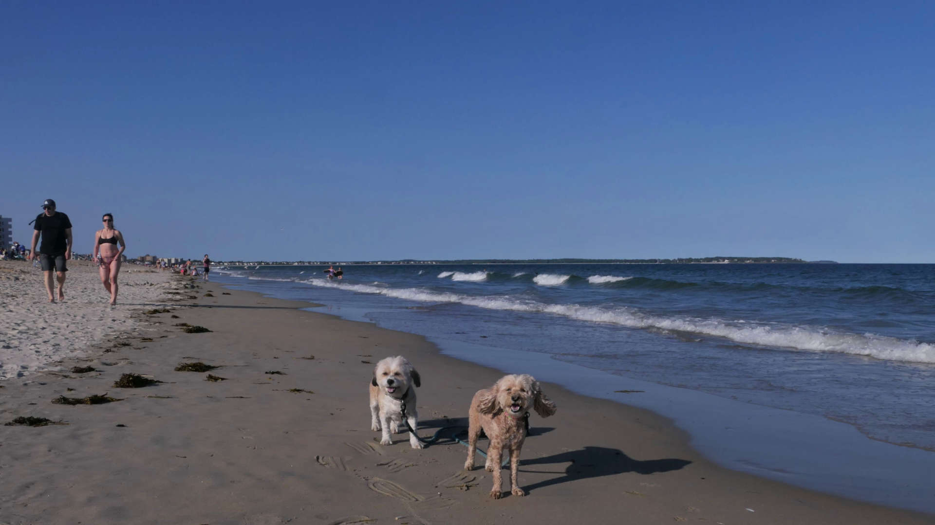 Old_Orchard_Beach12