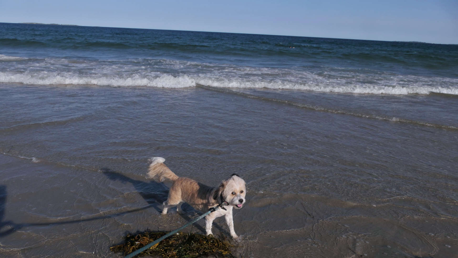 Old_Orchard_Beach14