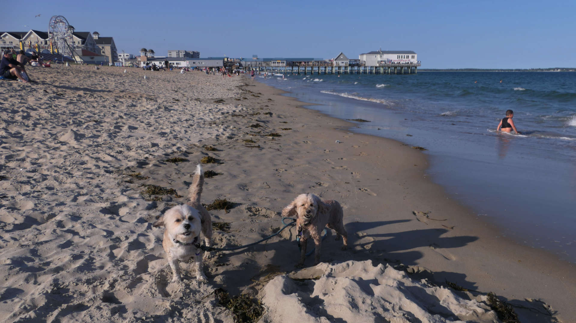 Old_Orchard_Beach18