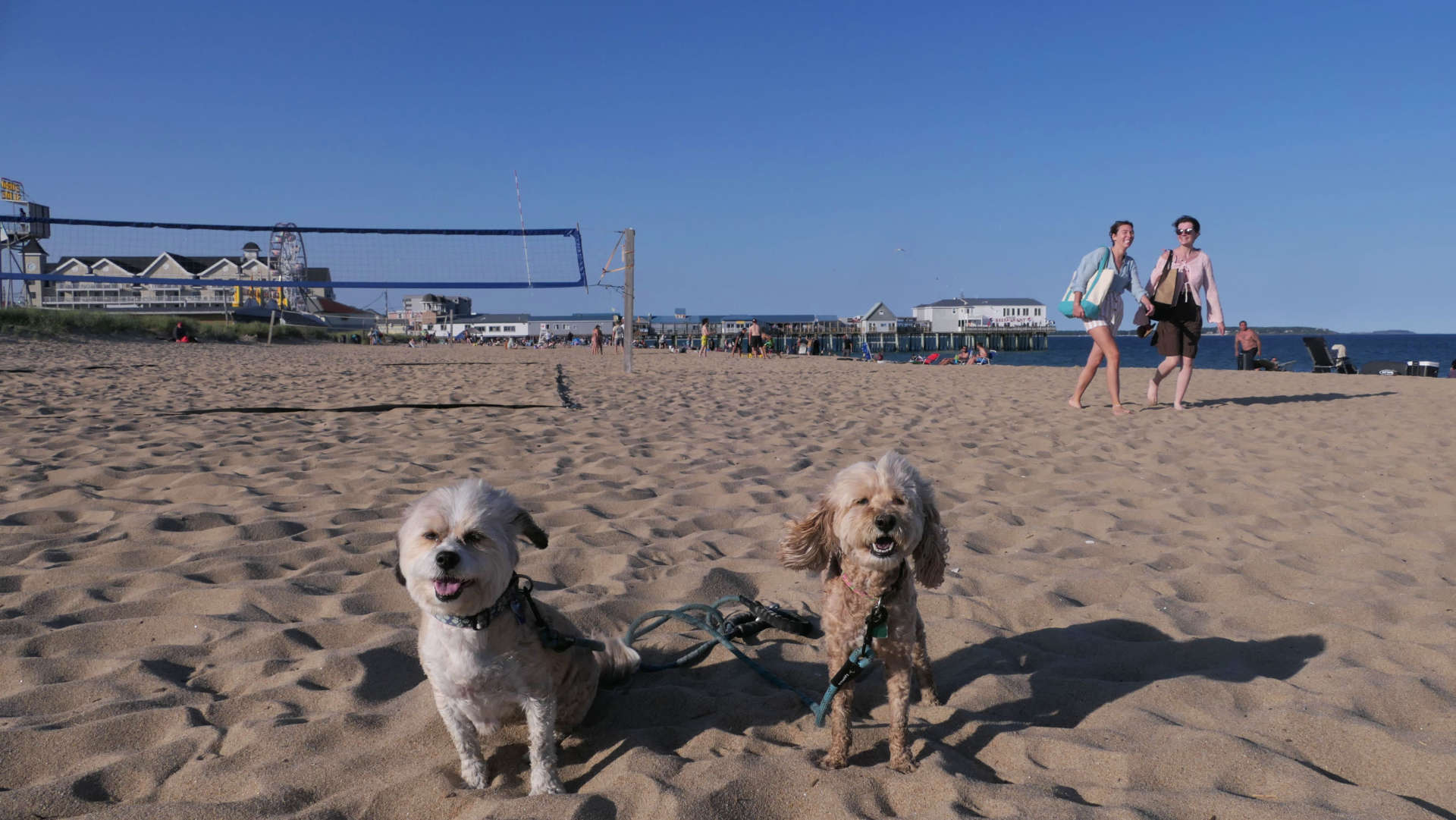 Old_Orchard_Beach19