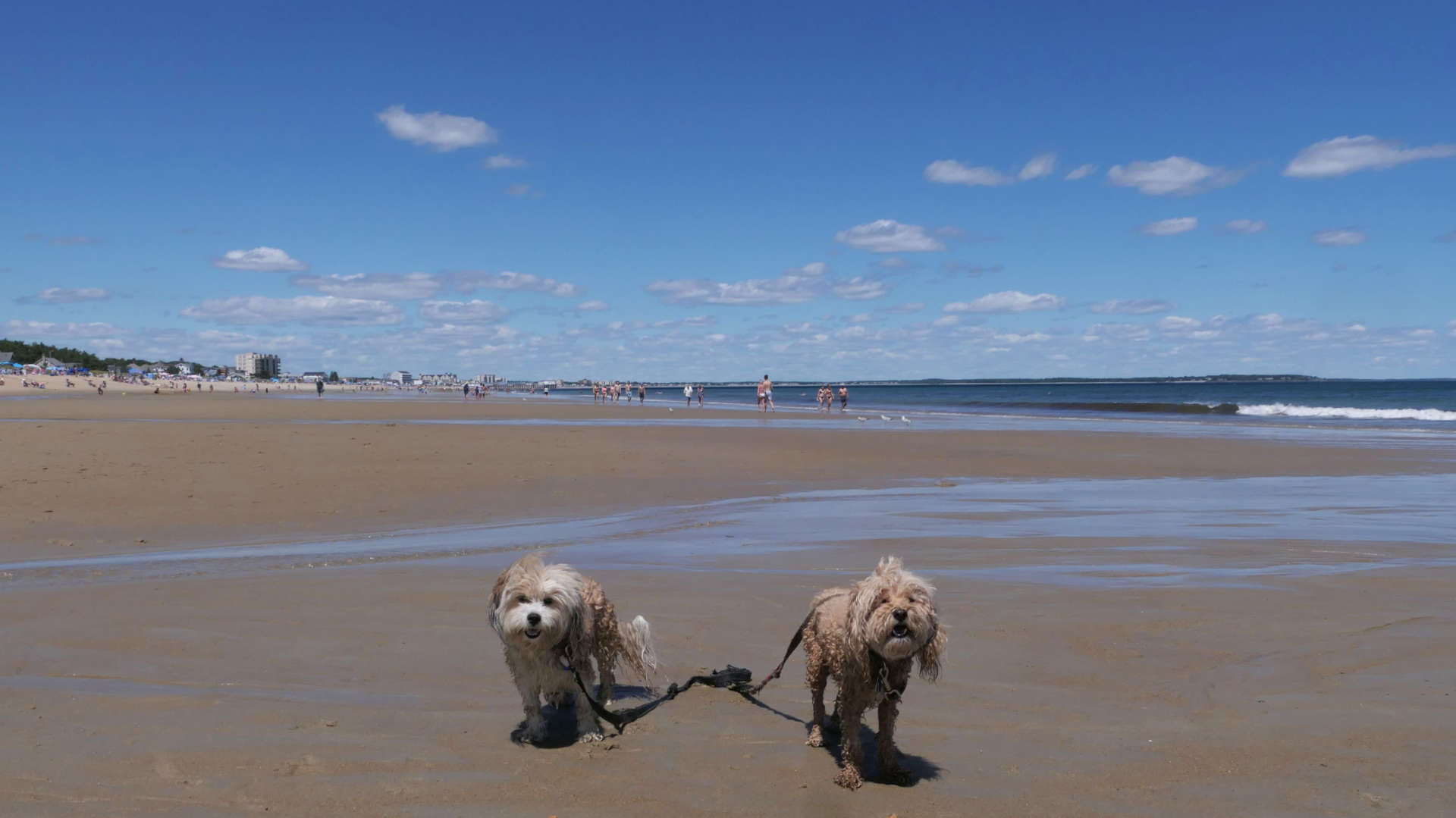 Old_Orchard_Beach2