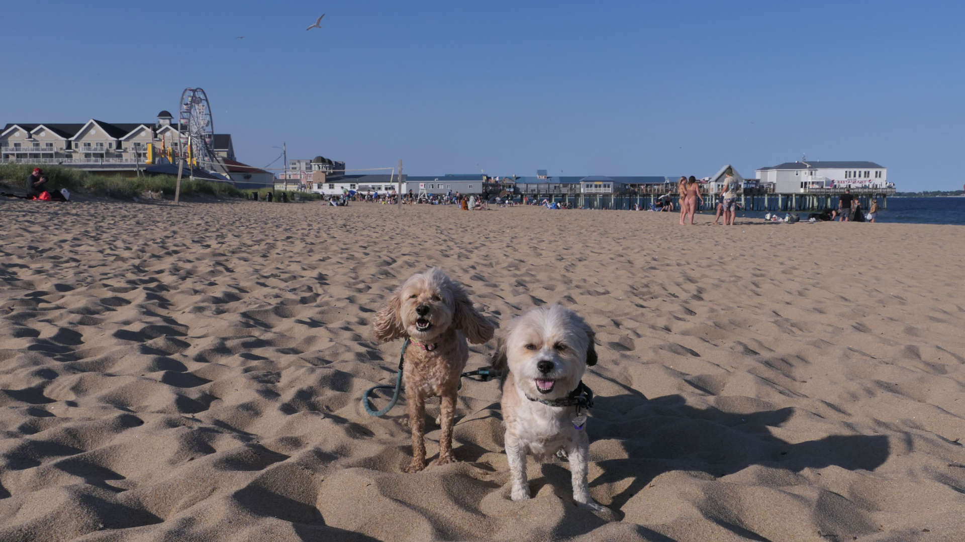 Old_Orchard_Beach20