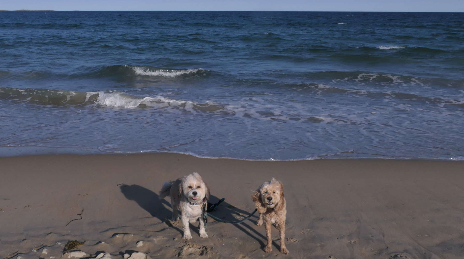 Old_Orchard_Beach21