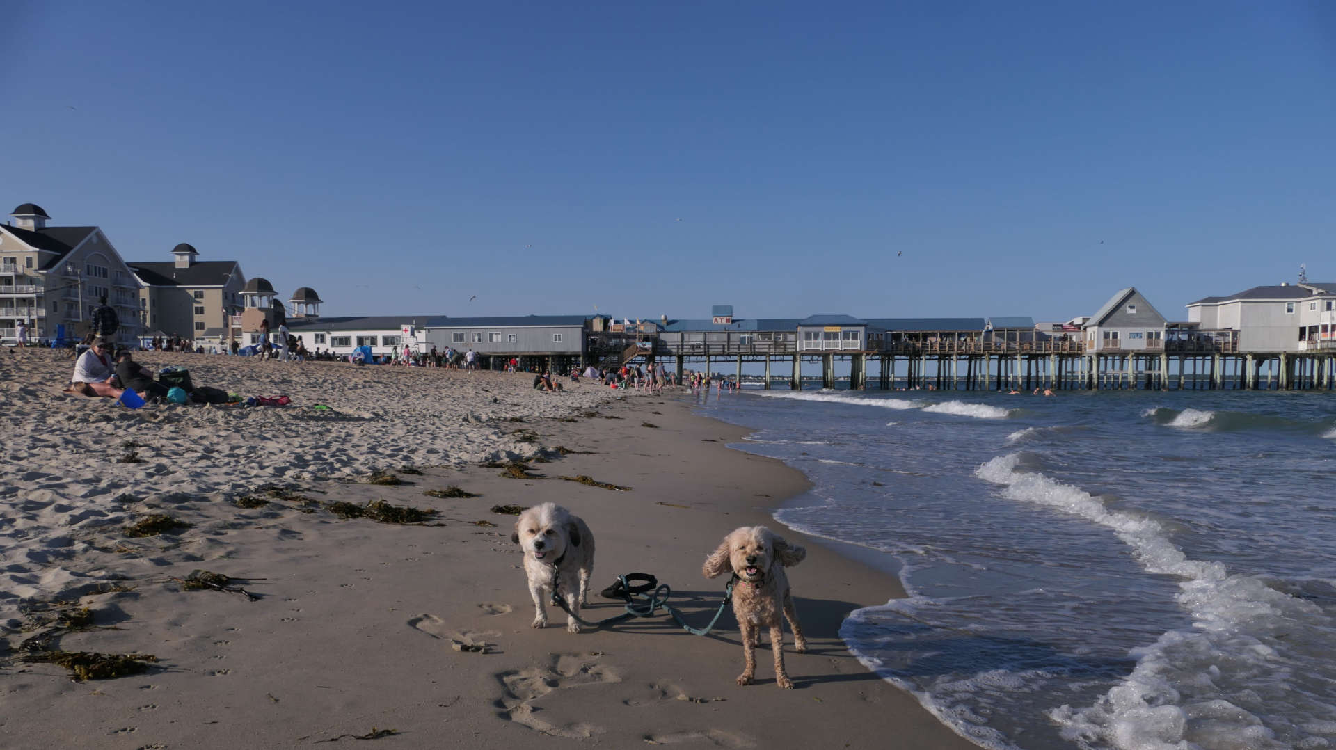 Old_Orchard_Beach22