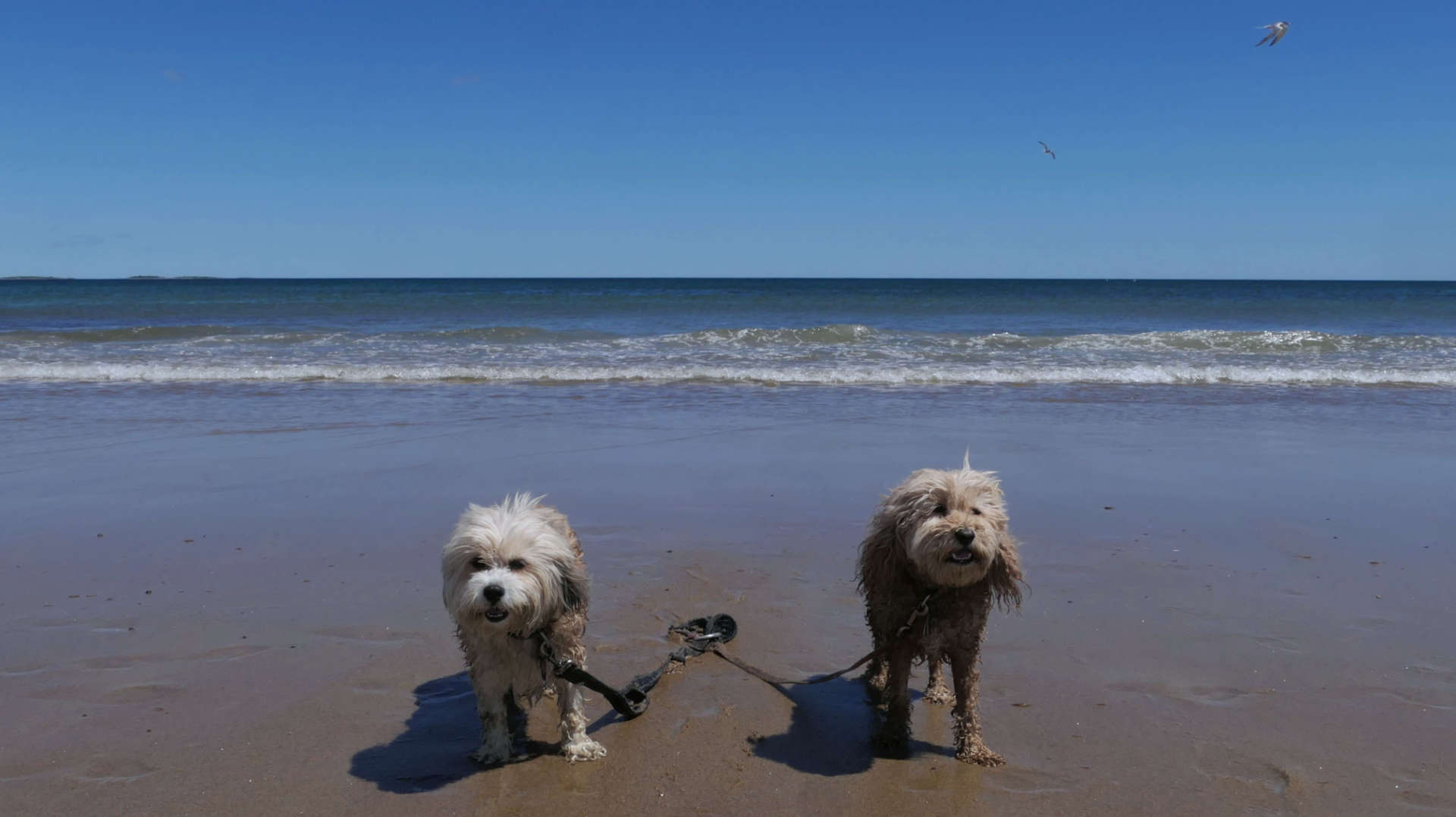 Old_Orchard_Beach3
